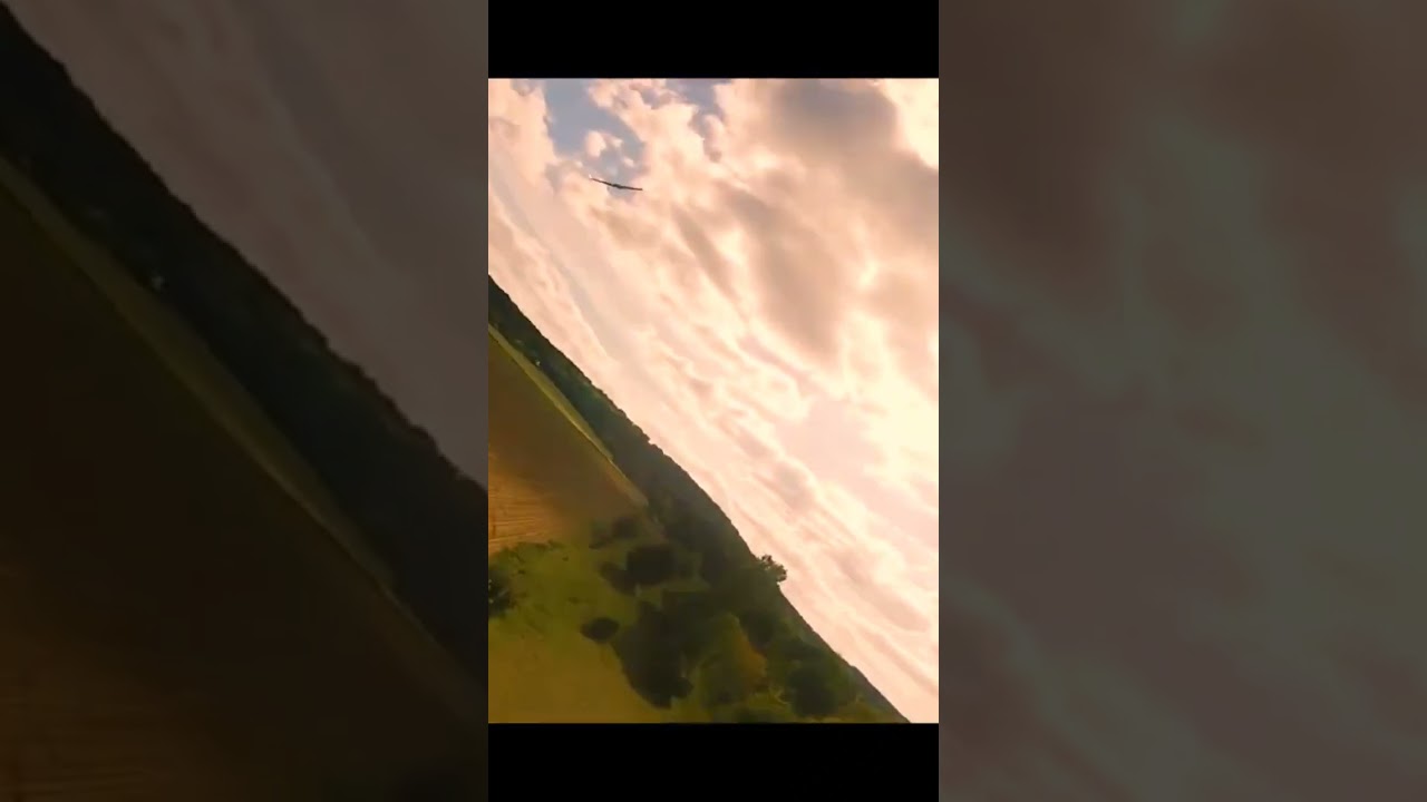 Aile parrot et drone racer