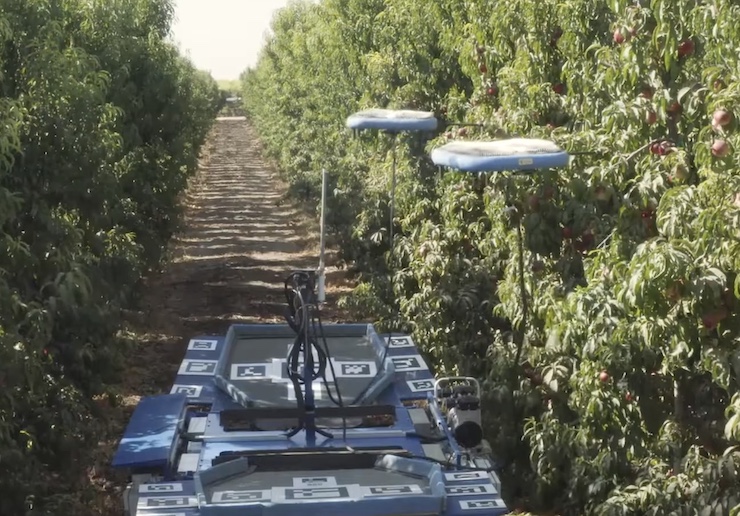 Les drones aident les agriculteurs à cueillir des fruits