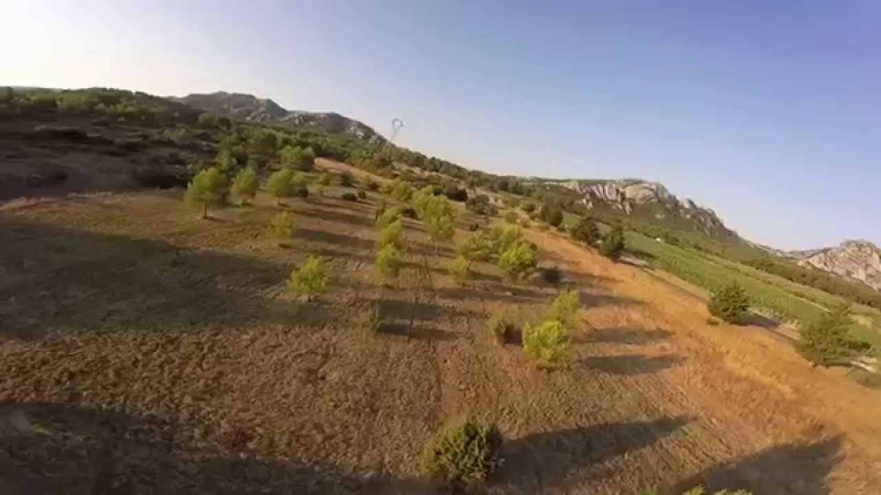 Crash fpv racer 250 dans la pinède