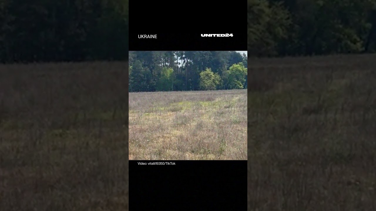 These Fields Are Covered With FPV Drones Fiber-Optic Cables #warinukraine #drone