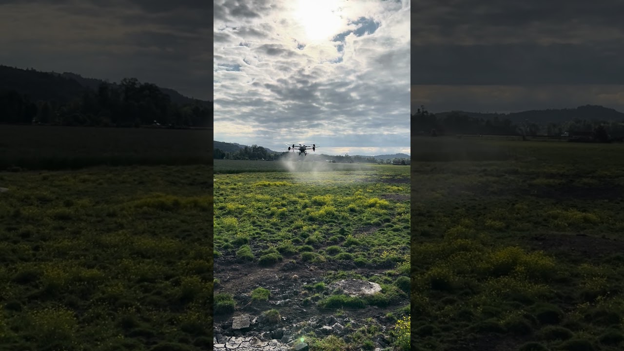 Drone Spraying Weeds! #aerialapplication #cropdusting #djidronespray #drone #helicopter