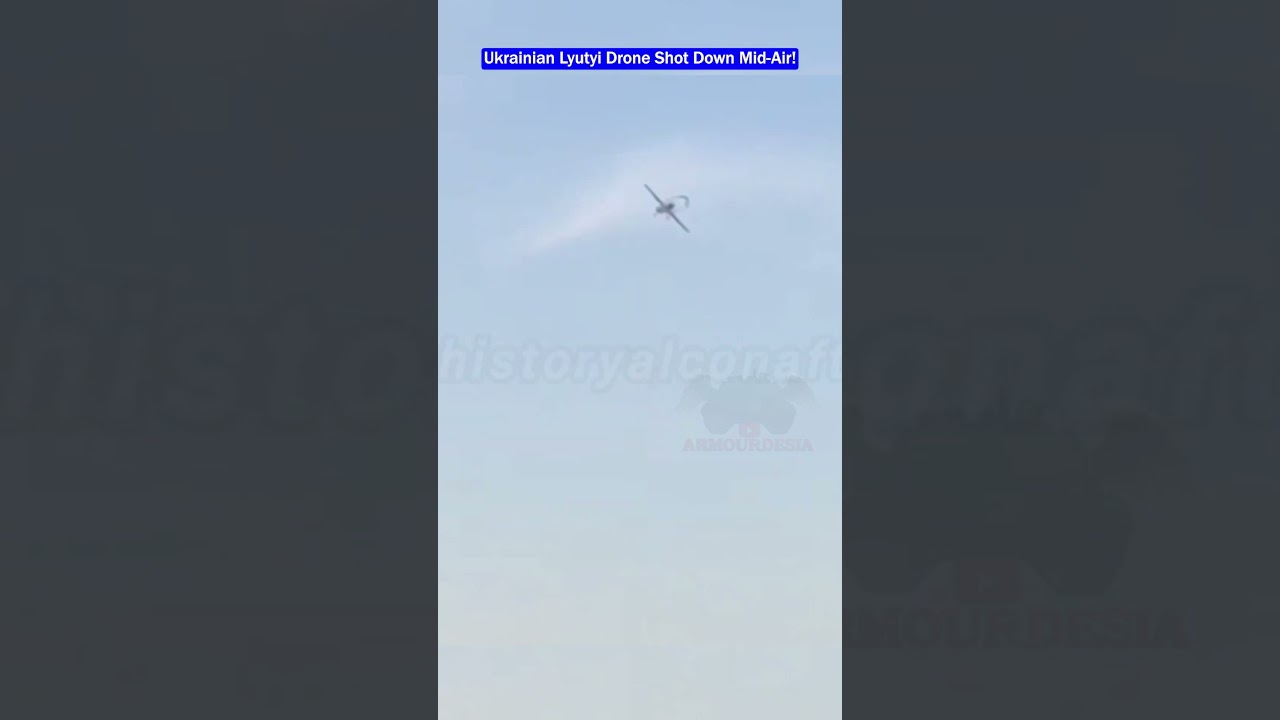 Lyutyi Drone Tries to Dodge—Still Shot Down Mid-Air!