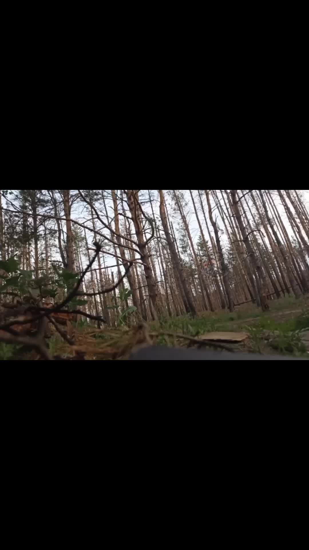 Drone de guerre FPV: Bro coupe et ...