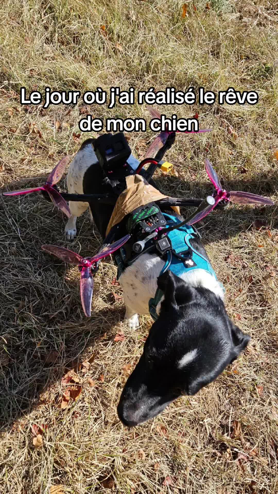 J'ai enfin réalisé son rêve