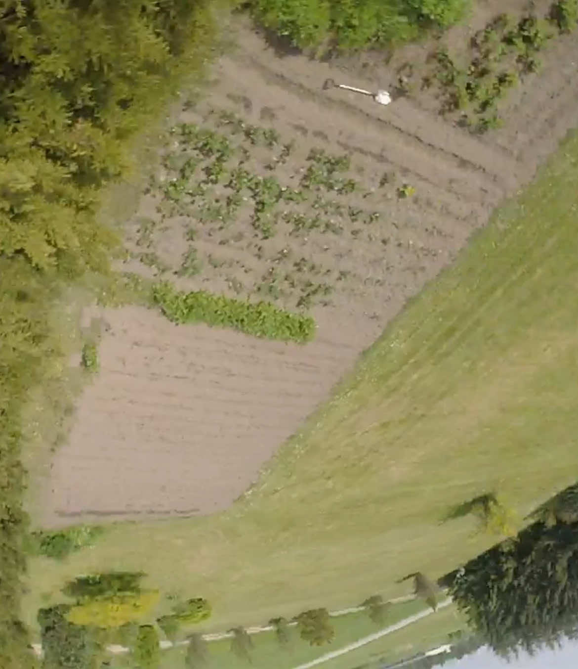 Nouveau vol de nouveau jour