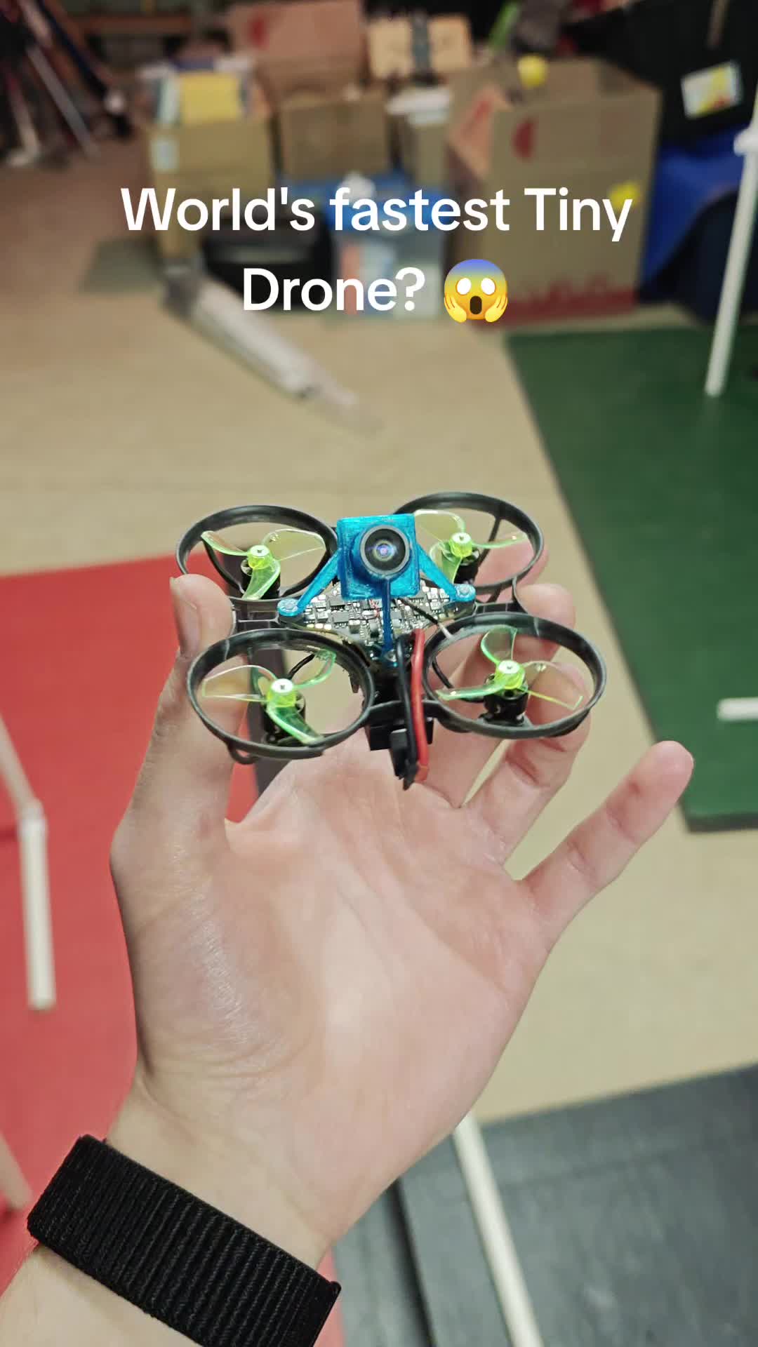 Came de bâton