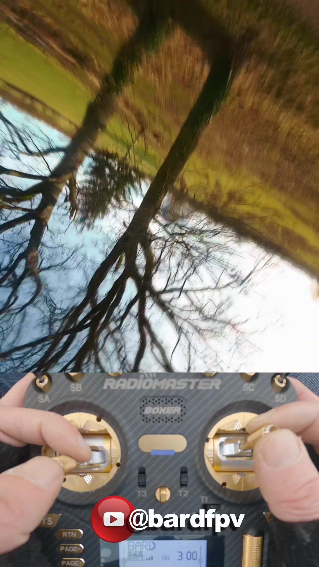 FPV Freestyle Back Roll Reobin dans l'écart