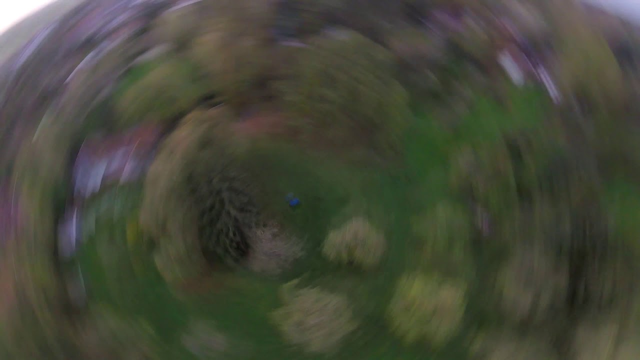 Drone racer Alien 5" full kiss et hypetrain rotor riot