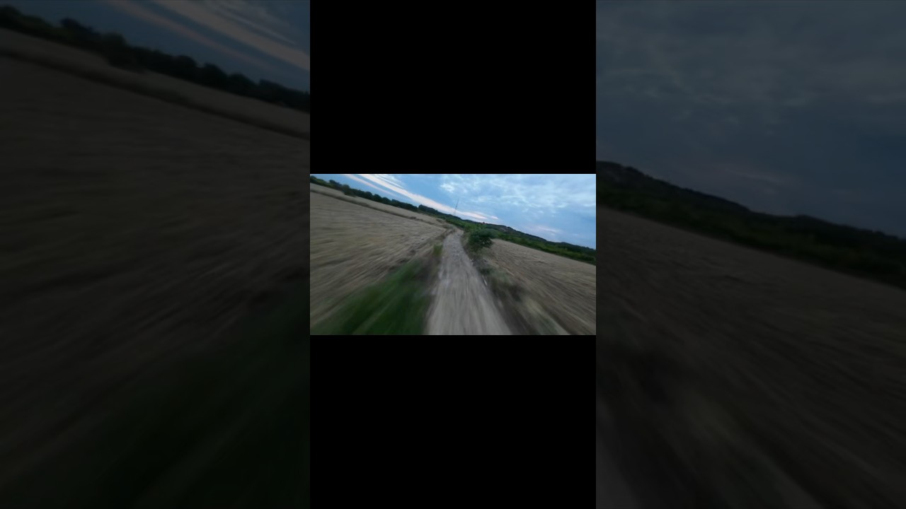 FPV Racing Through a Narrow Field Path.#fyp #drone #china #trending  #nature#vibe#shorts#viralshorts