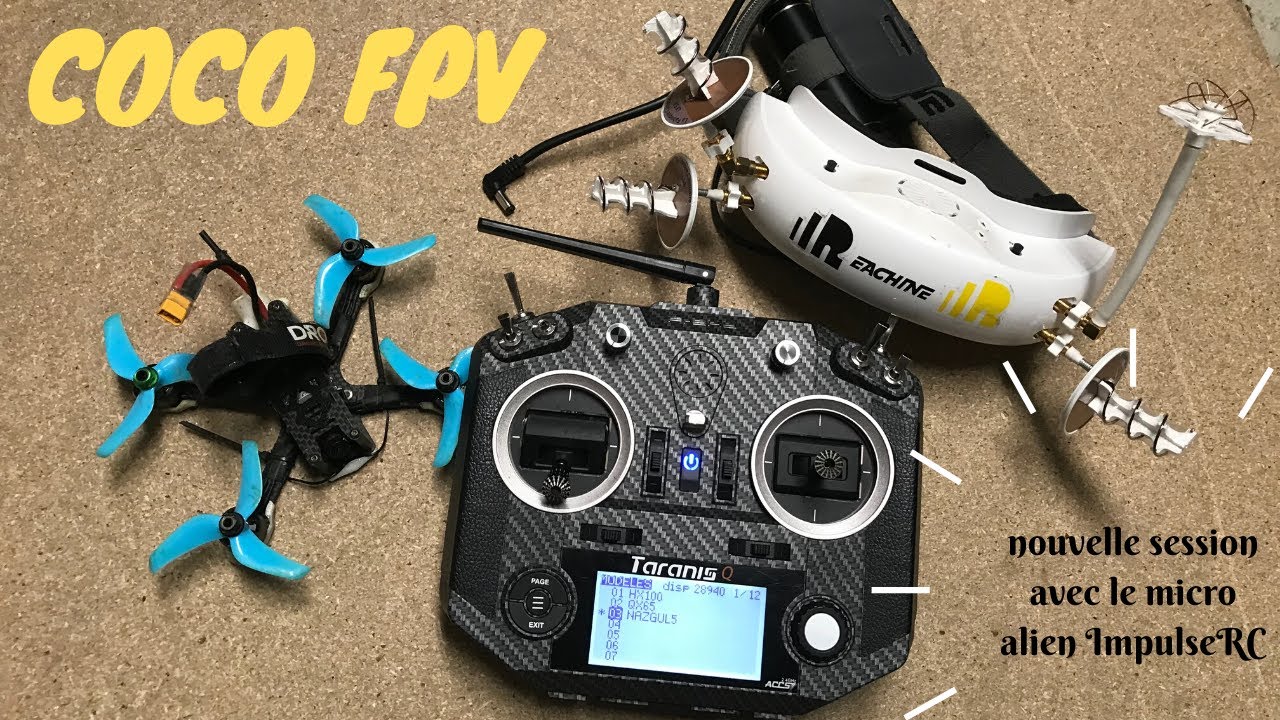 fly in the trees (fpv racer)