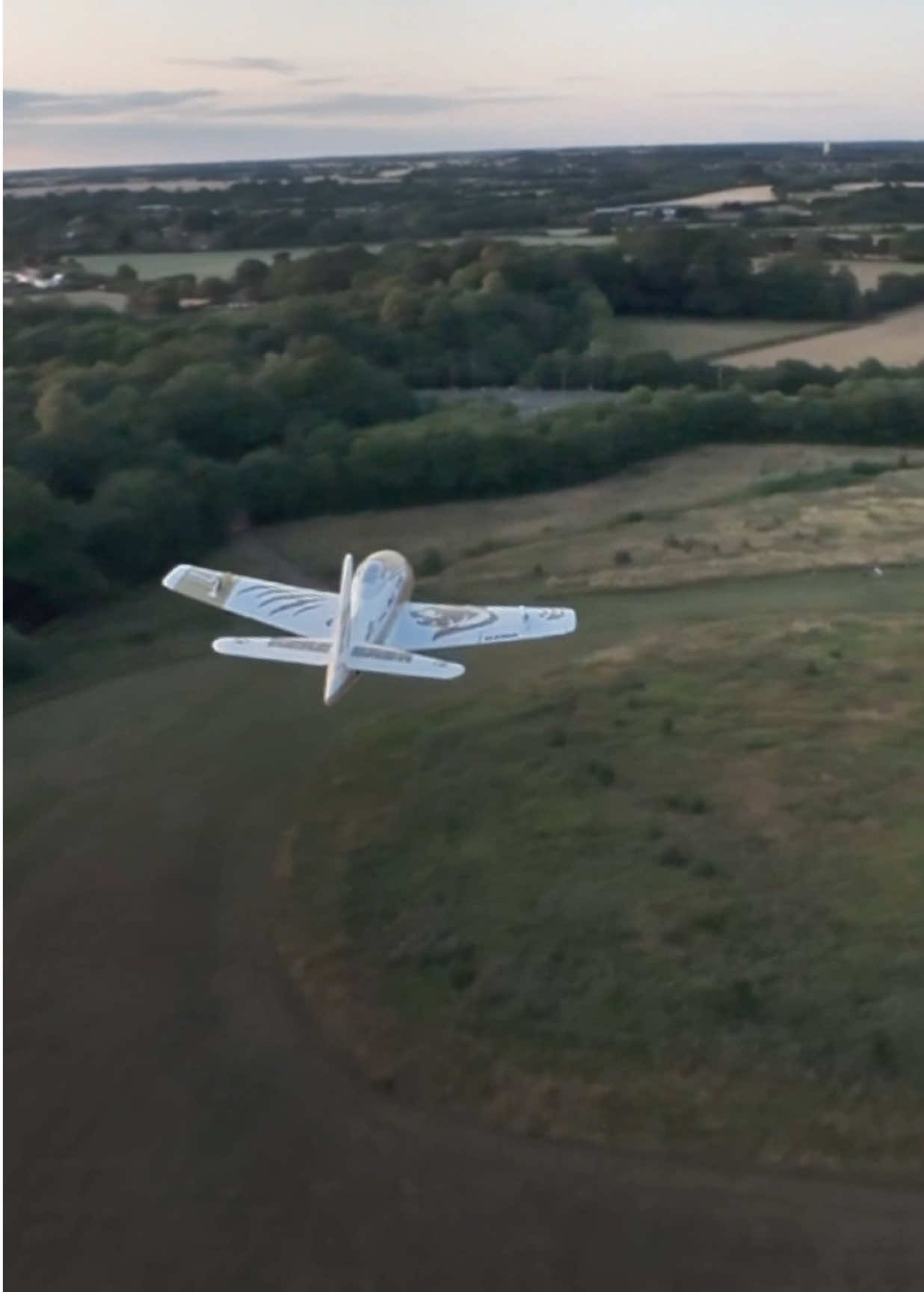 Avion de coureur d'ours