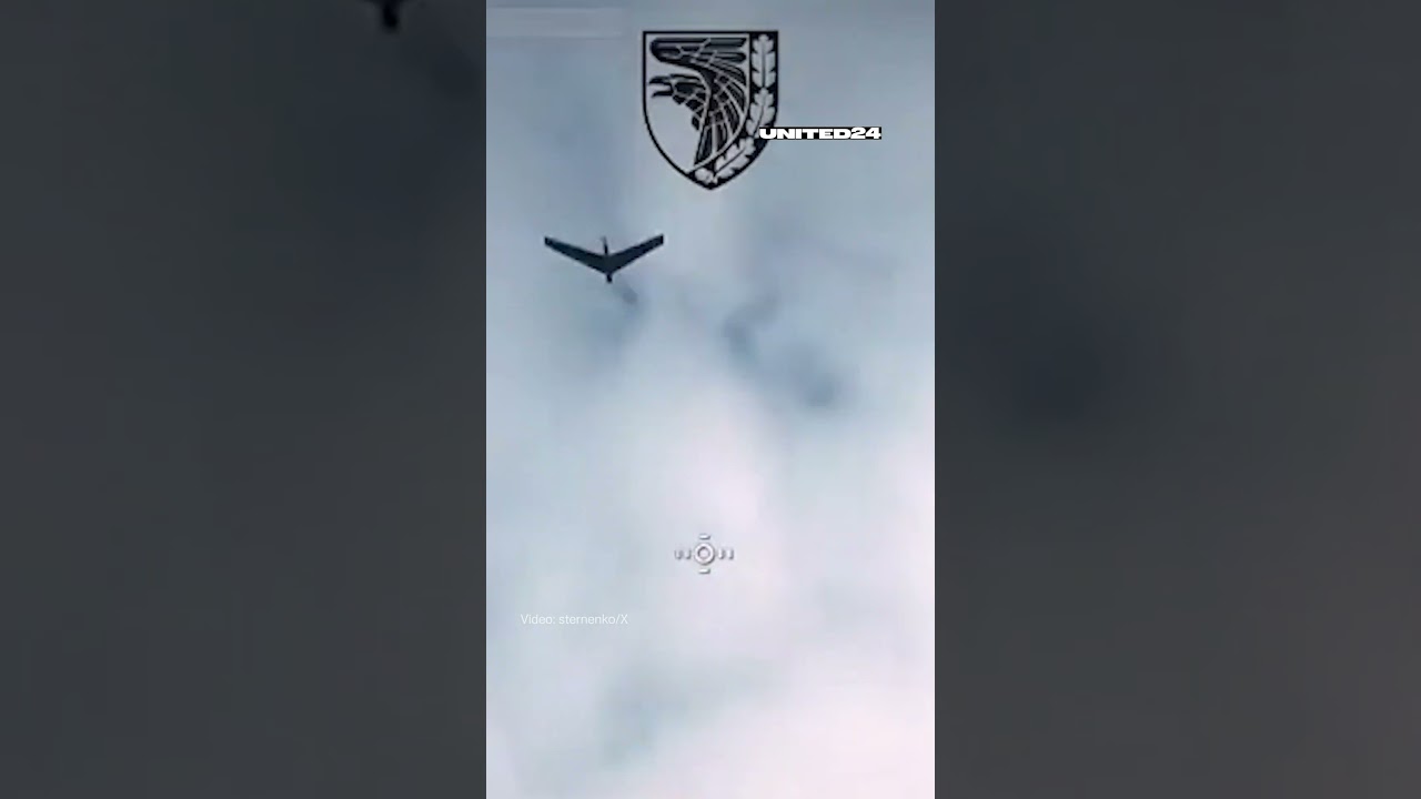 Ukrainian FPV Drone Intercepted Russian Reconnaissance UAV #warinukraine #drone
