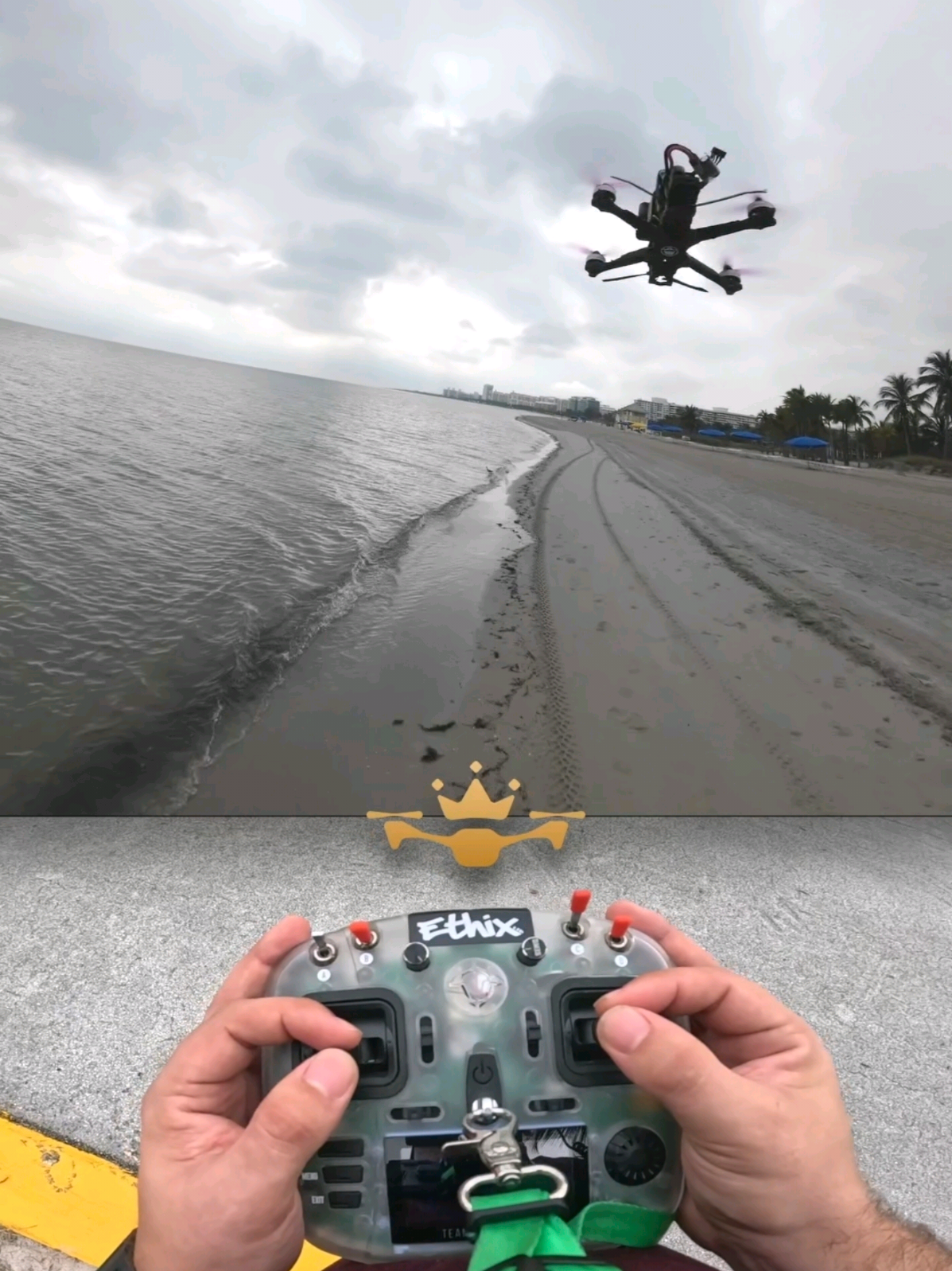 Attention à l'oiseau! Chase FPV. Le drone amusant contient une plage vide. Pratiquer et enjer