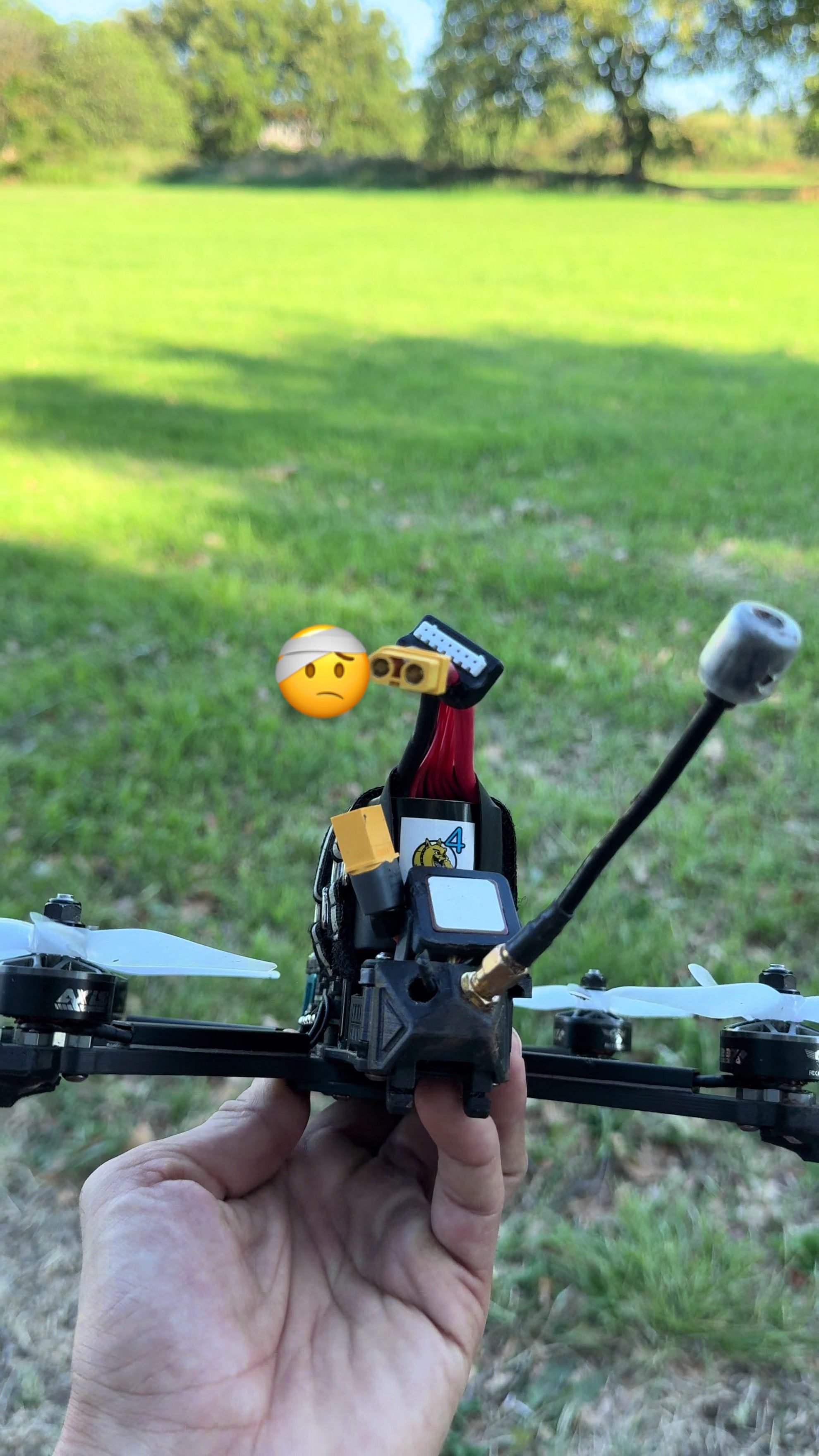 Manta 5 est dedans et