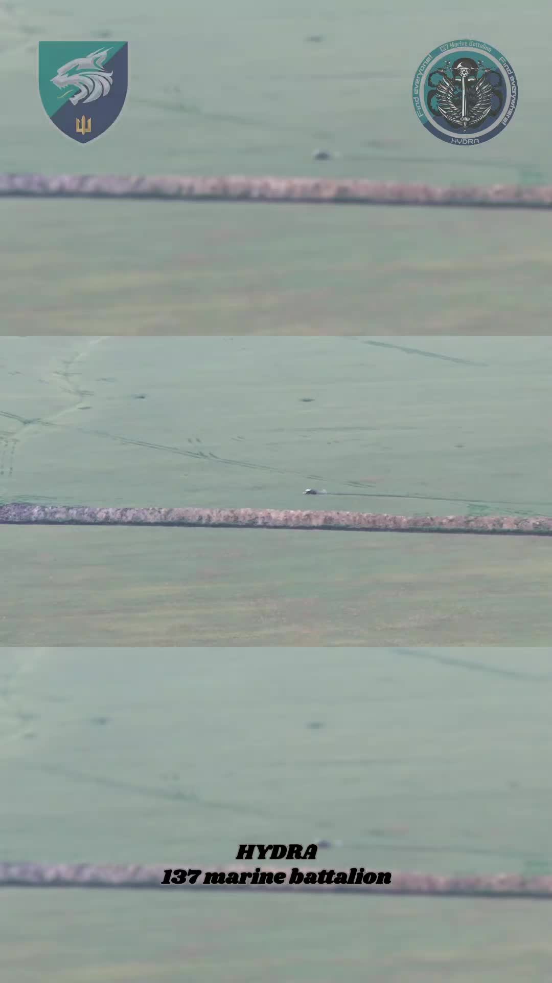 Un voyage raté pour un groupe de racistes