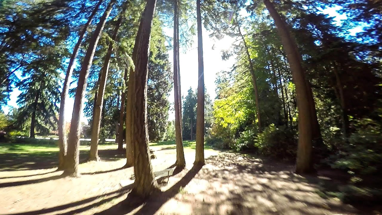 Staying Focused - FPV FREESTYLE - DRONE RACING - LRC RACER