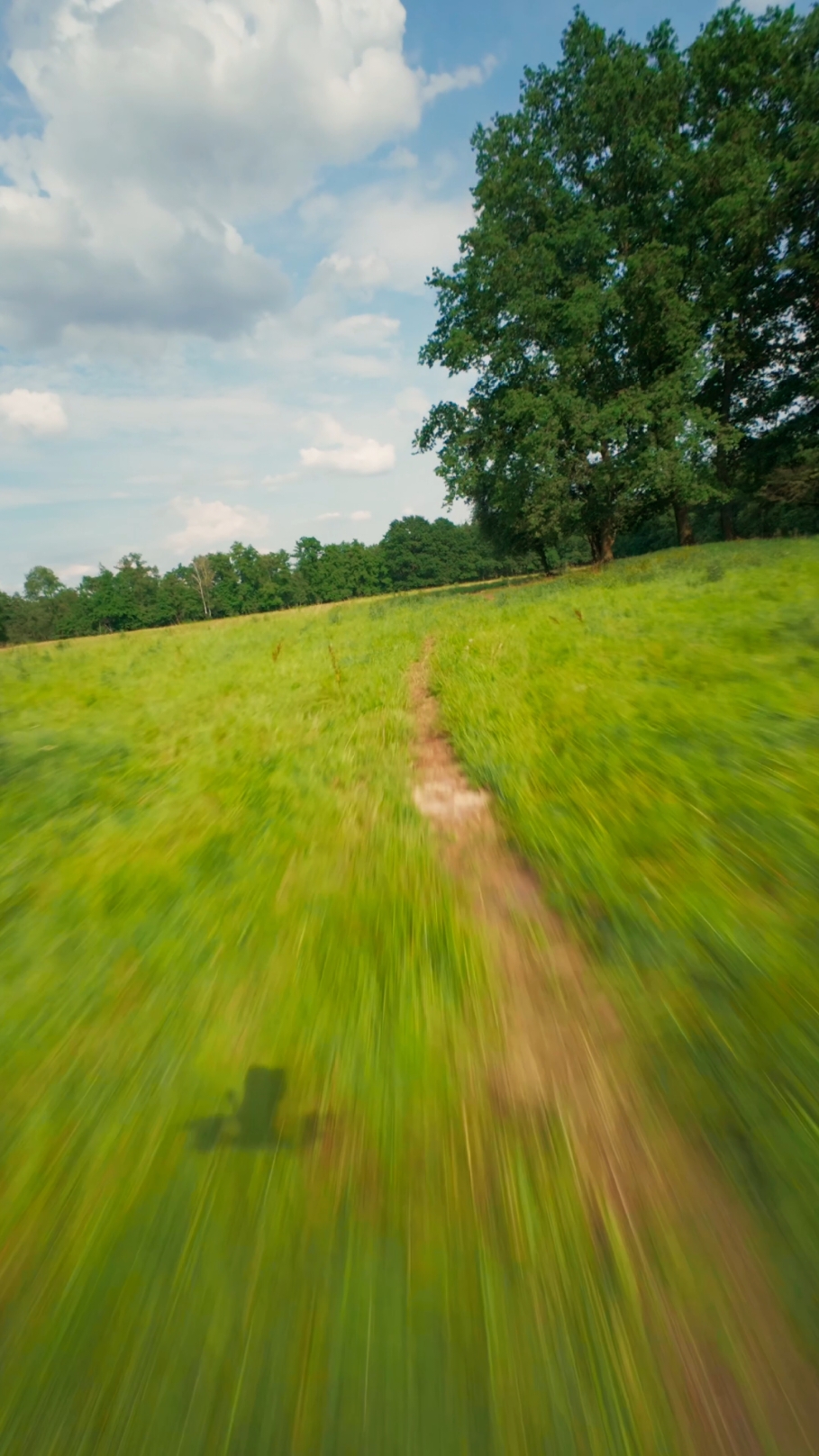 Été vibrations FPV