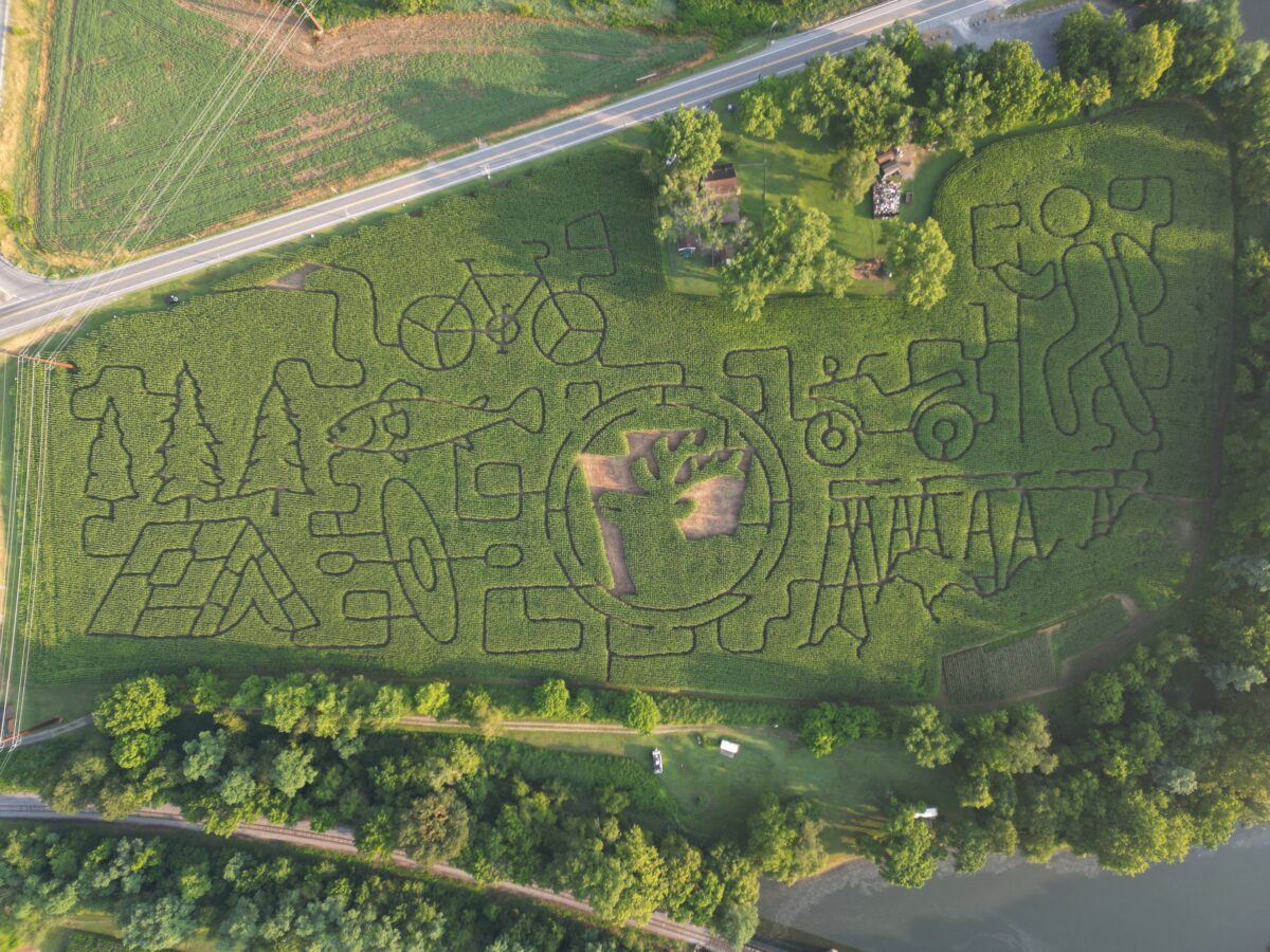 Pine Creek Corn Maze drone show over a Pennsylvania cornfield