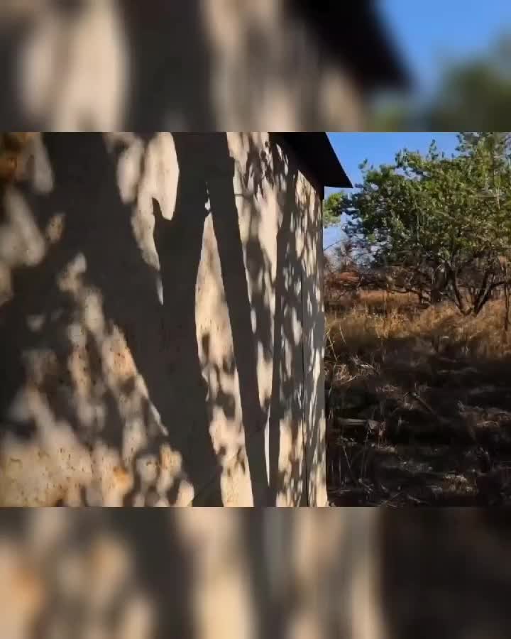 excellente précision