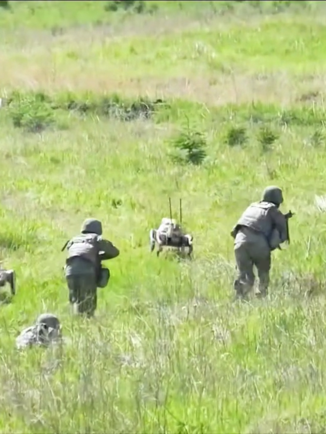 Robot Wolf participe à de véritables exercices de combat