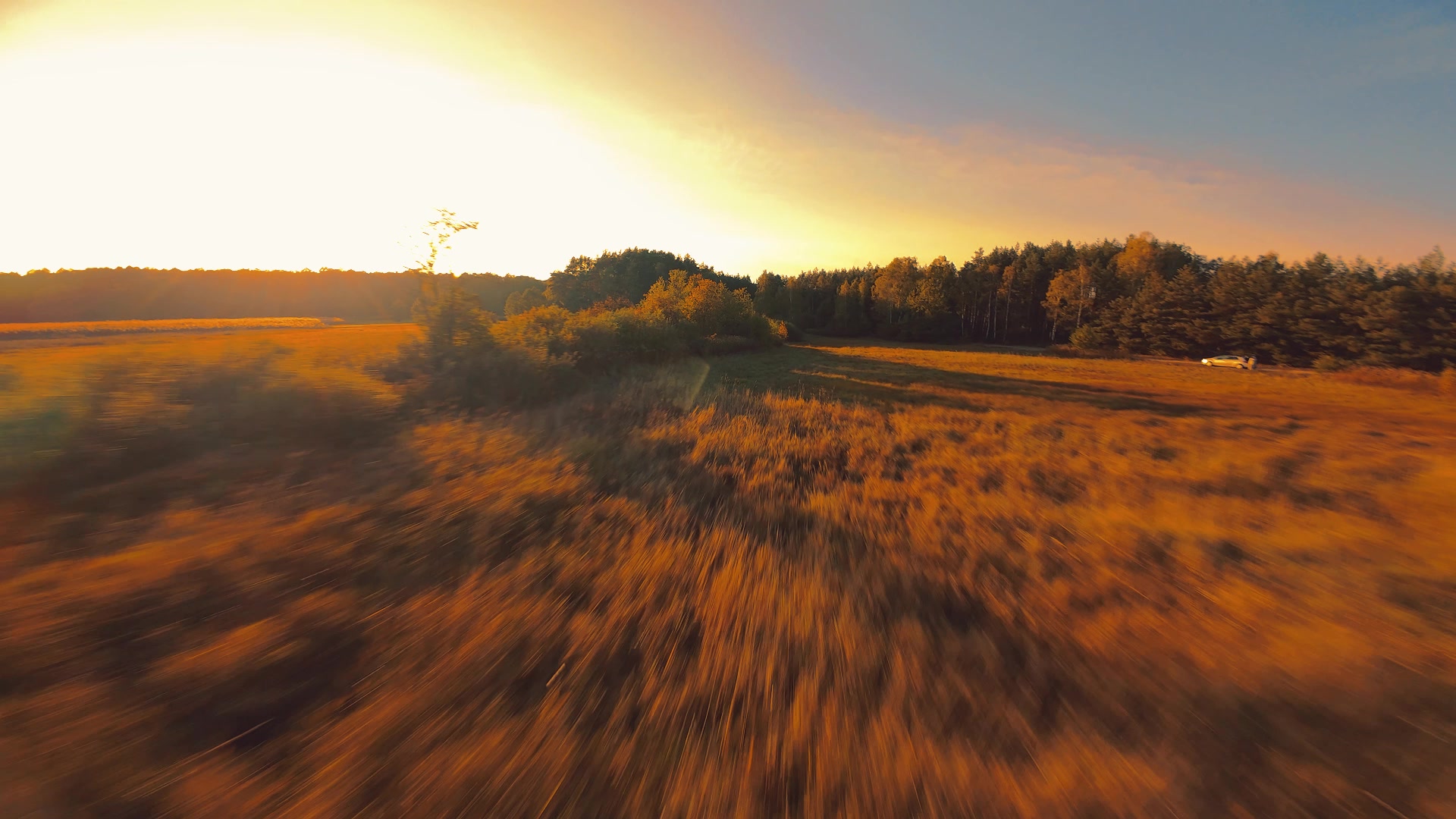 Pologne Je regardais et regardais, il devait y avoir des dunes, mais il s'est avéré que c'était comme toujours