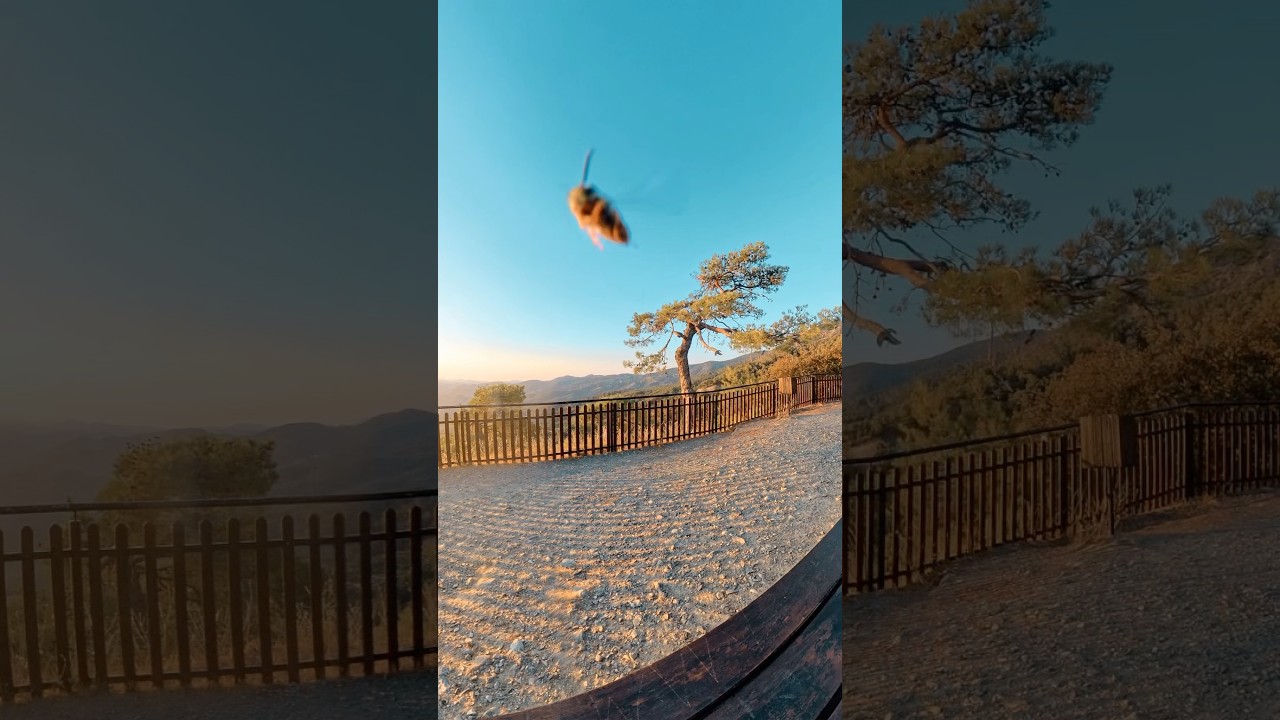 6 inch or 7 inch FPV. Which one is right for you?