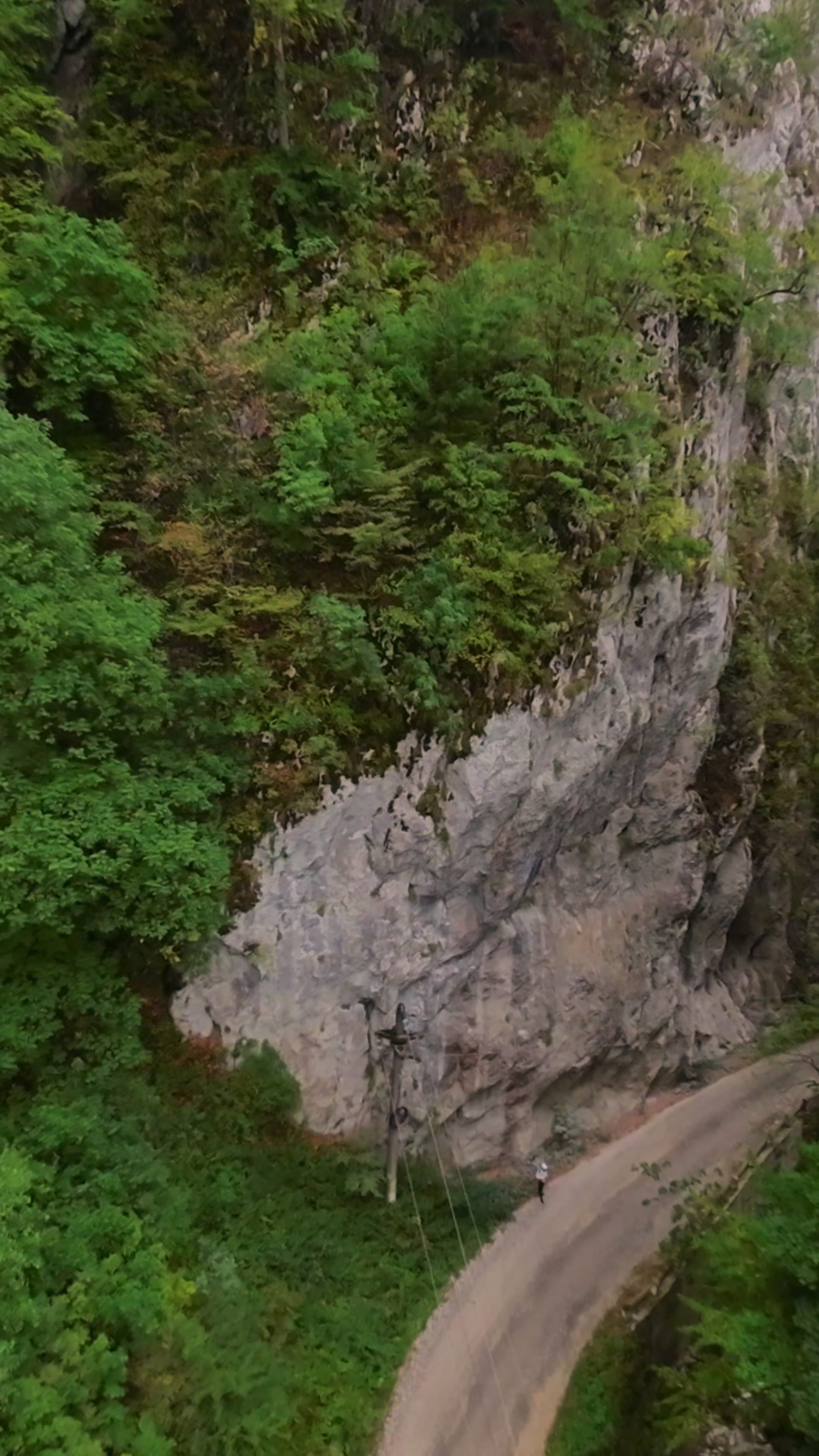 Les gorges de Bistrița s'élèvent comme une porte de pierre vers le ciel, où la montagne et