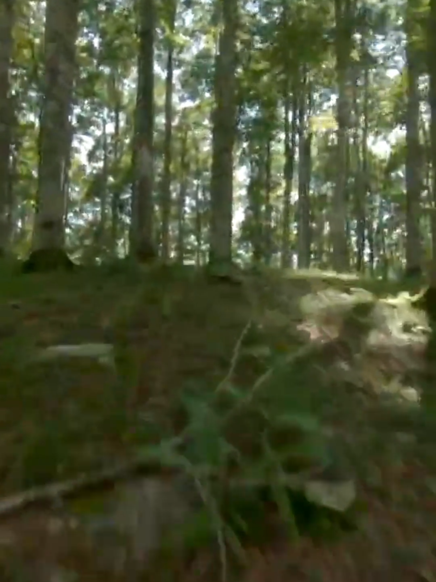 fpv fpvlife fpvfreestyle fpvracing fpvdrones fpvpilot fpvaddiction fpvcommunity