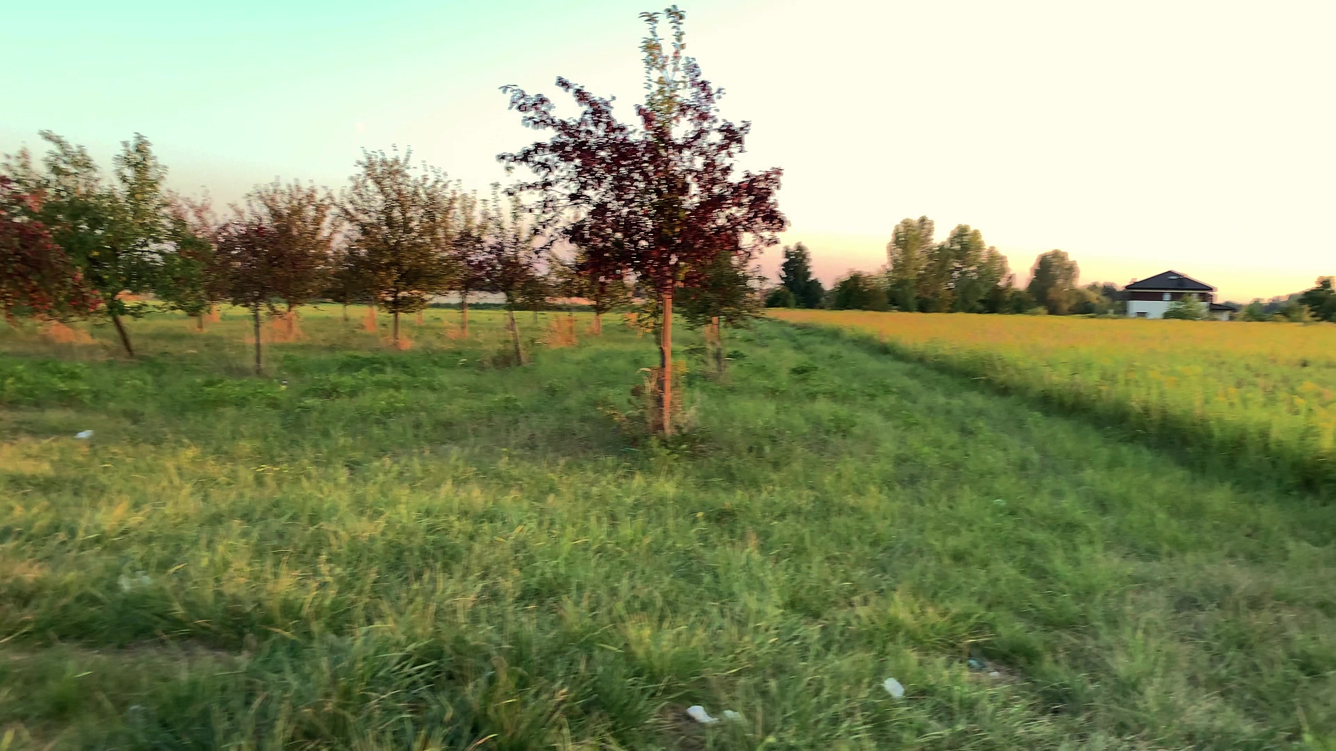 fpvdrone quelques coups pour terminer la journée gofilm20