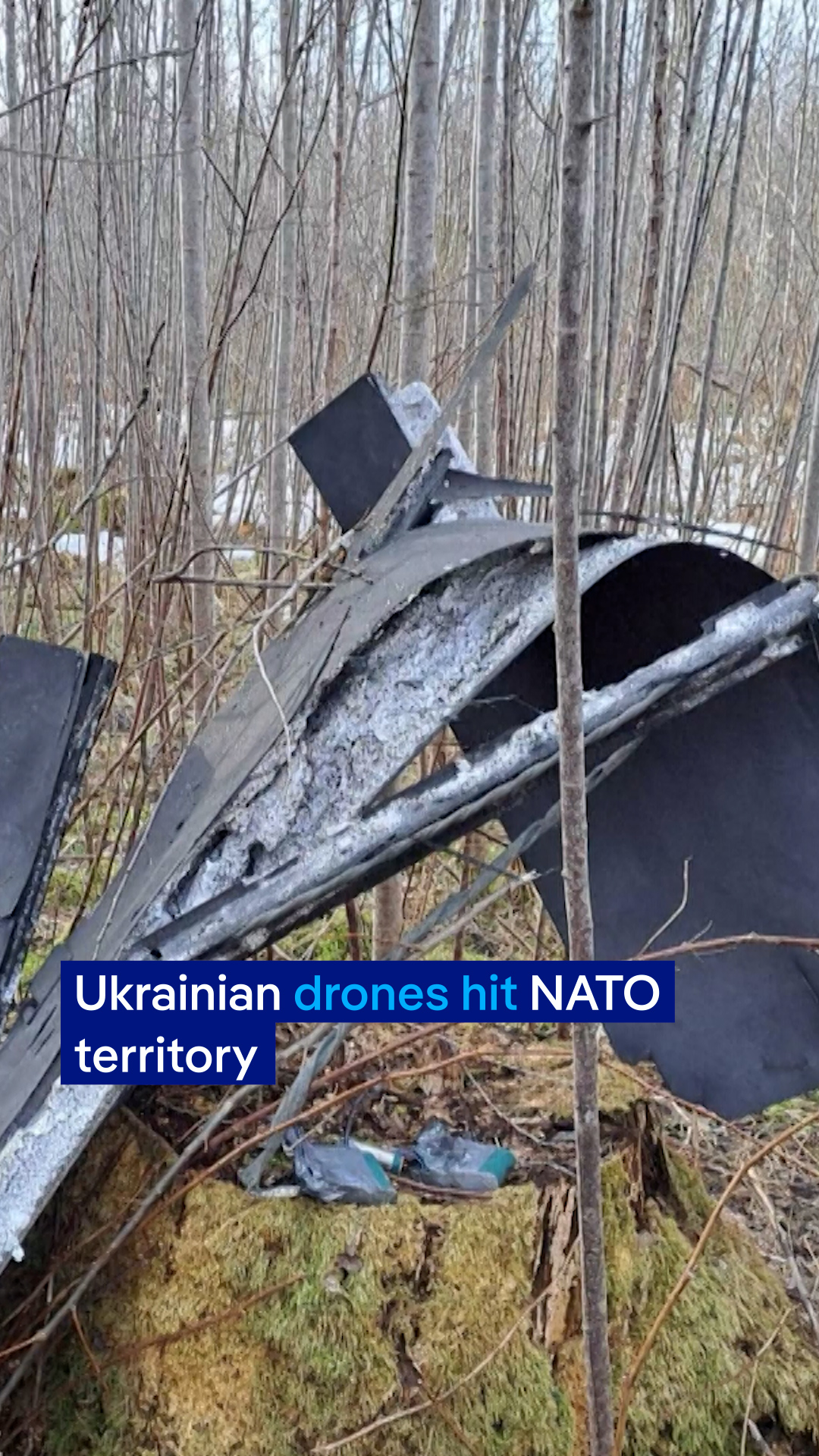 L'Estonie et la Lettonie, membres de l'OTAN, ont déclaré que des drones ukrainiens étaient entrés sur leur territoire,