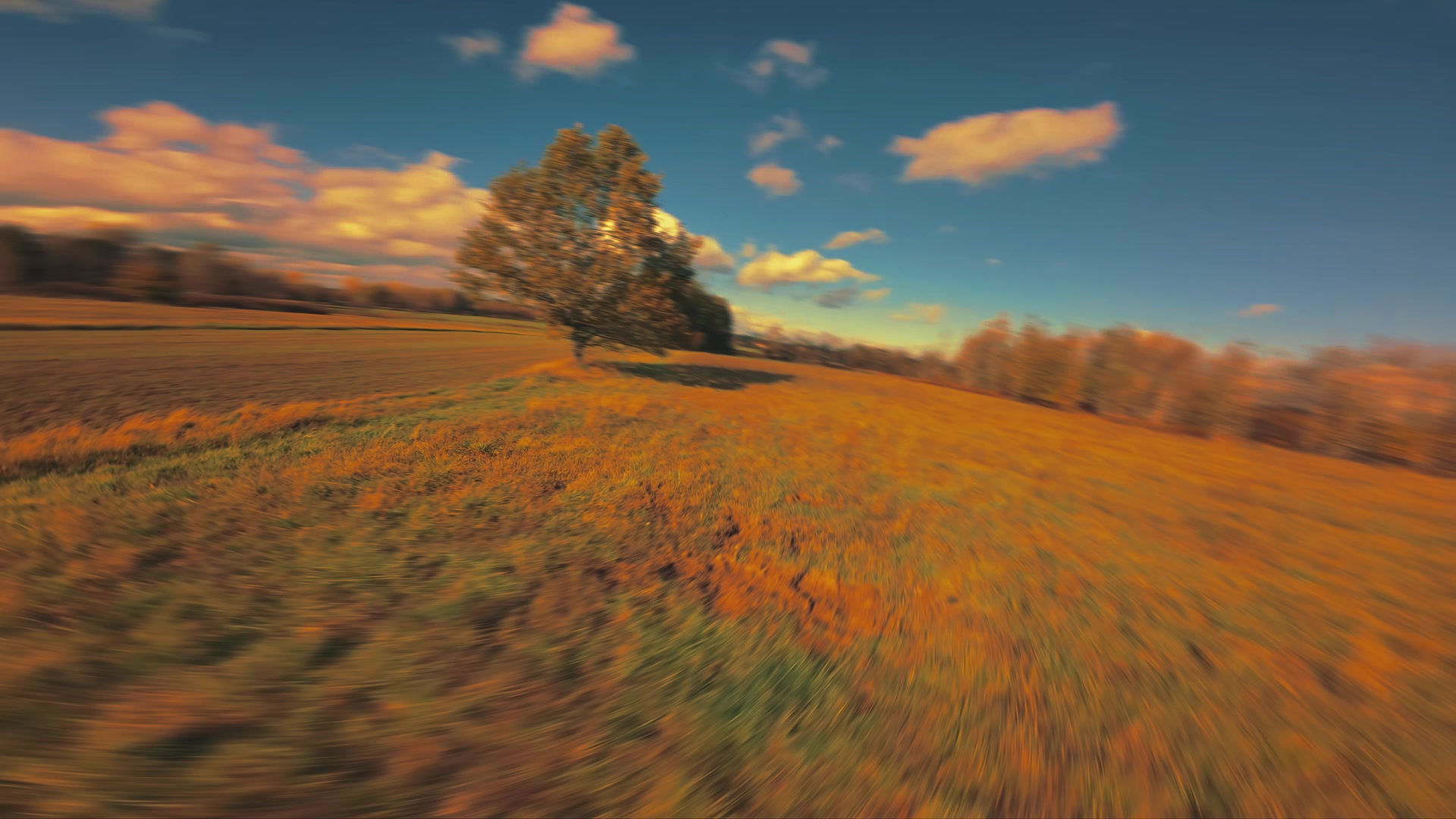 fpvdrone Chaque jour est unique