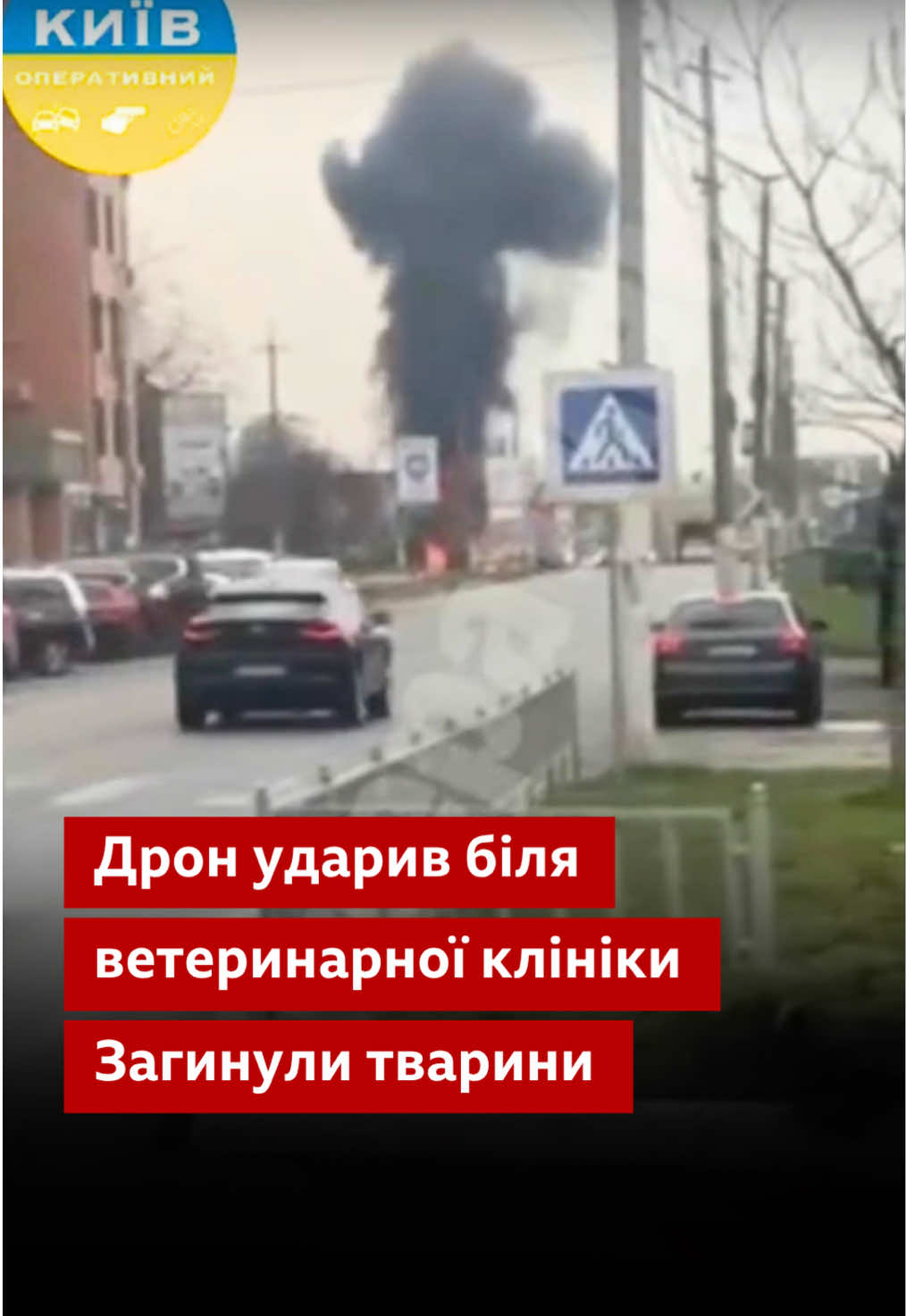 Un drone russe a explosé près d'une clinique vétérinaire du village de Chabany à Kiev