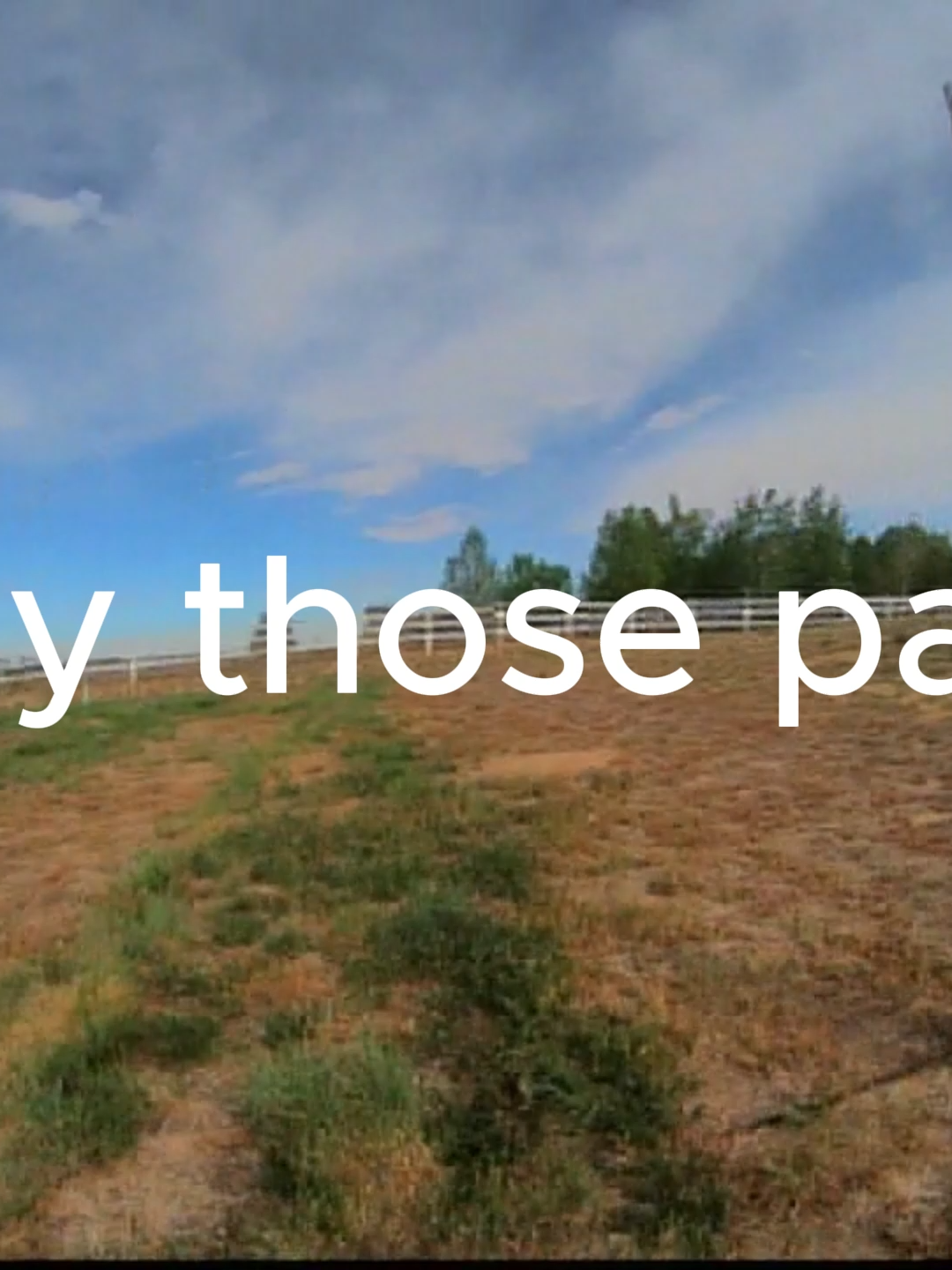 voler dem packs garçon