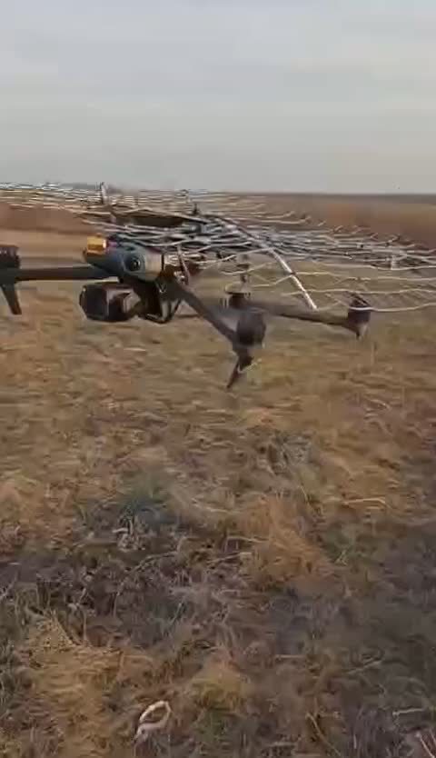 Les cages d'adaptation sont partout