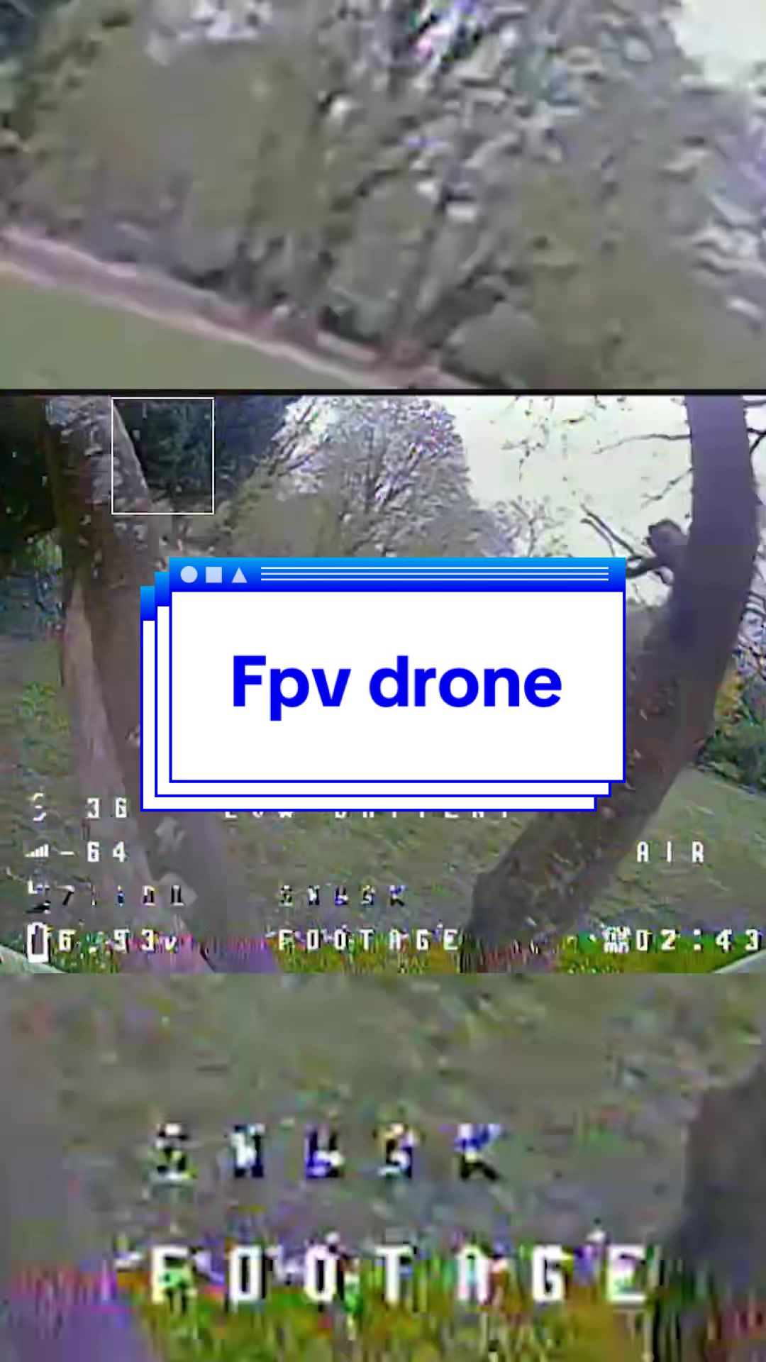 Images de requin FPV