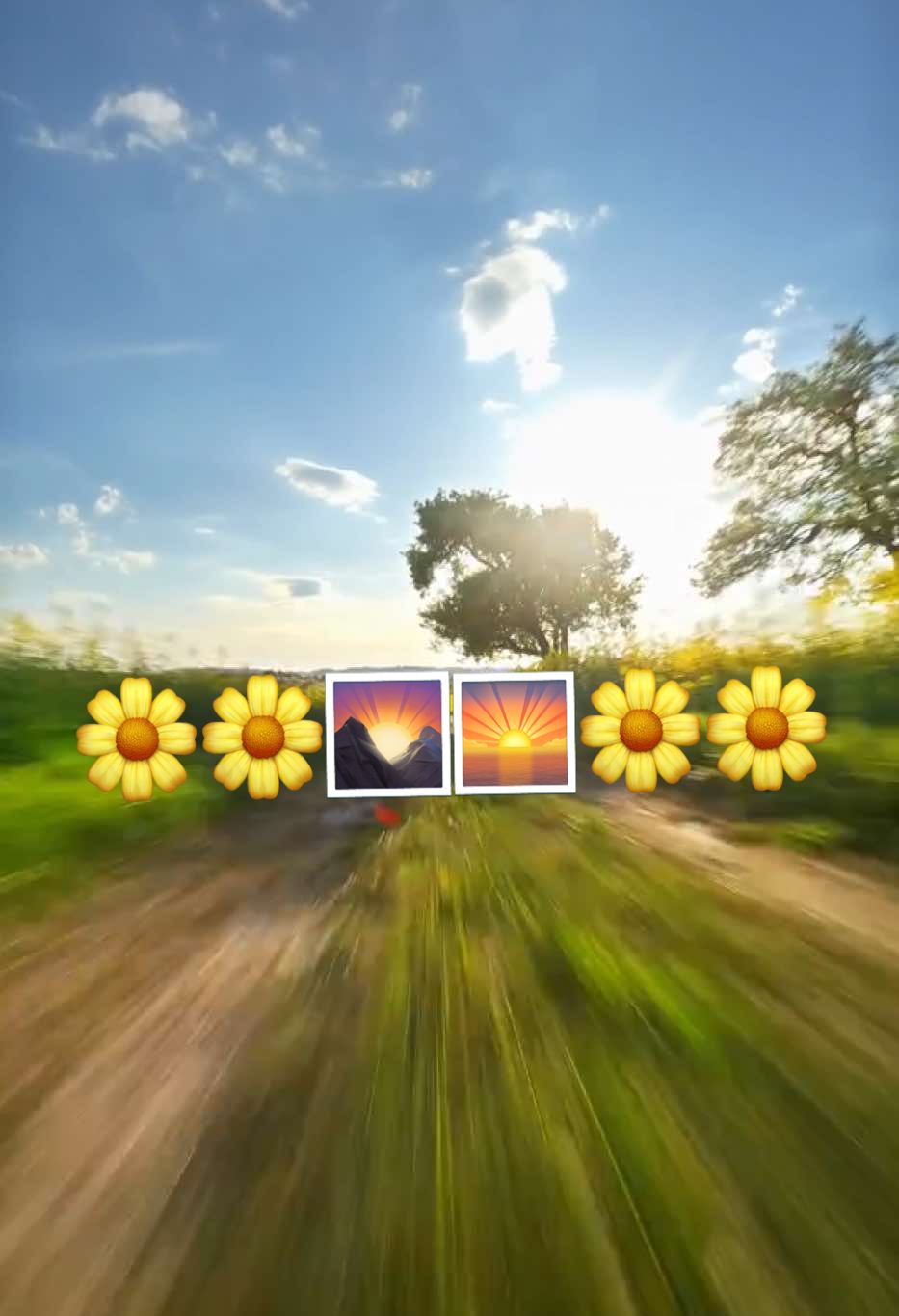 Lumière du soir irréelle aujourd'hui. Les champs de canola commencent à jaunir… Meilleur après