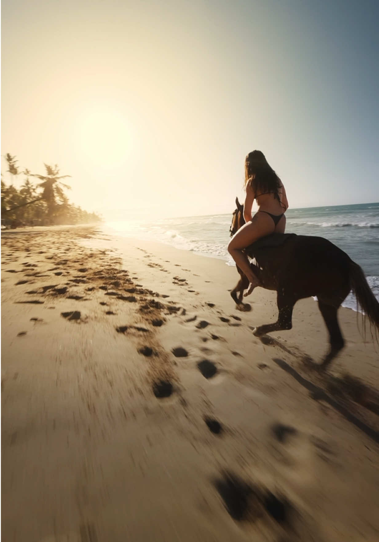 Cette vie Monter à cheval le long de la plage est l'une des meilleures sensations. Peux-tu
