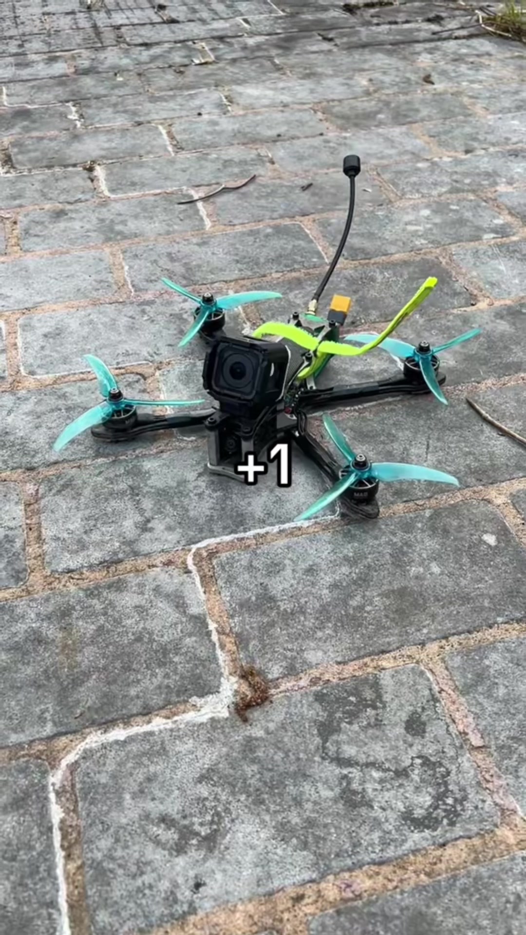 Republier / rééditer -