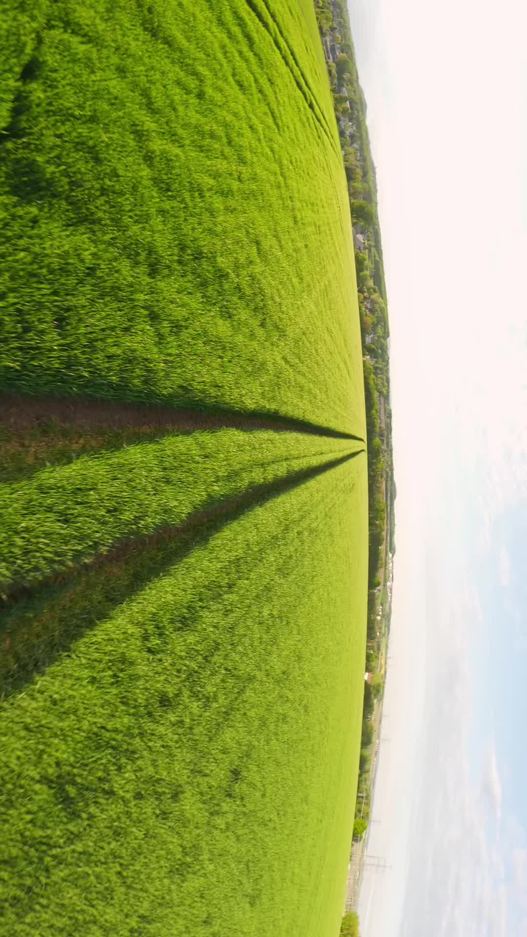 Nouveau drone arrivé (Vapor d5)