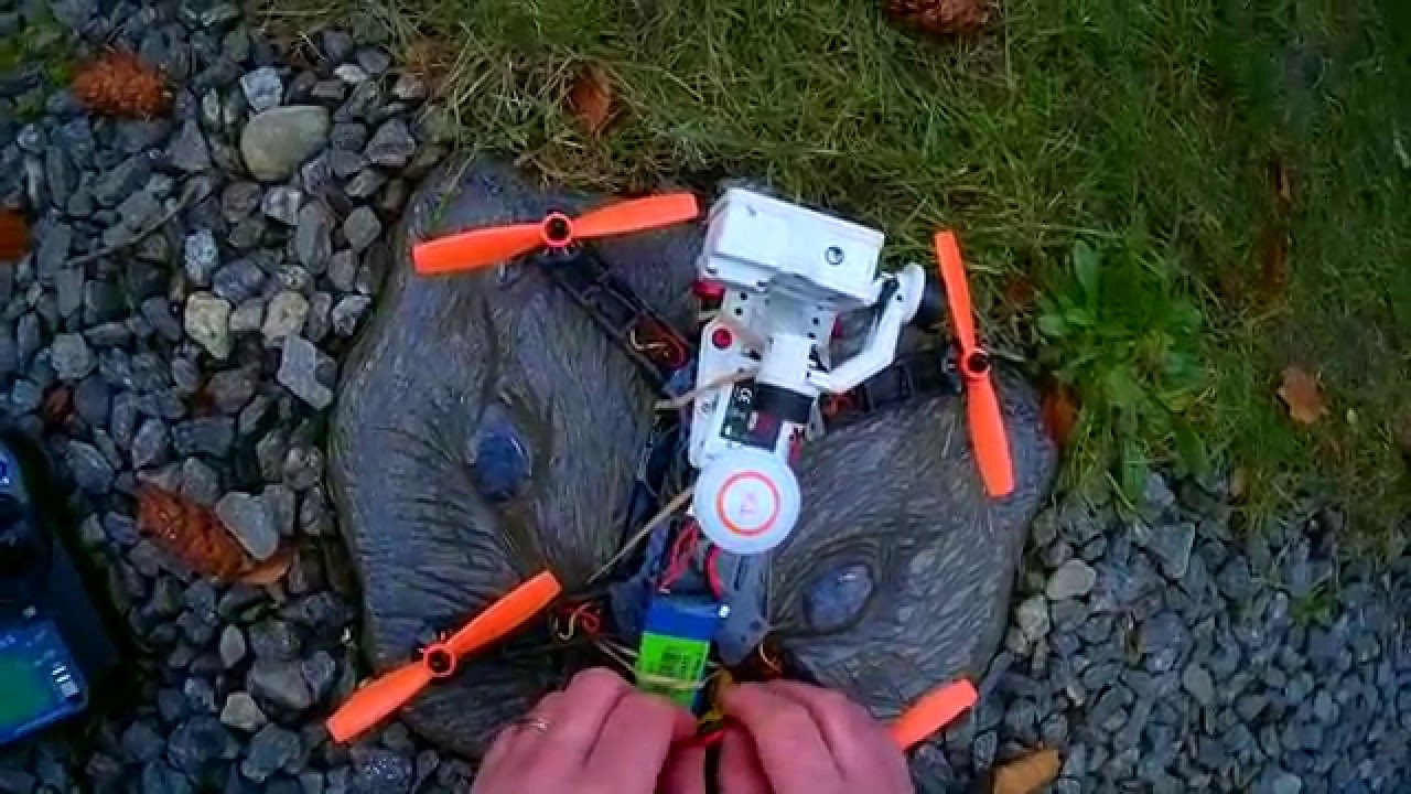 Eachine 250 FPV Racer G-2D Gimbal Xiaomi Yi Flight