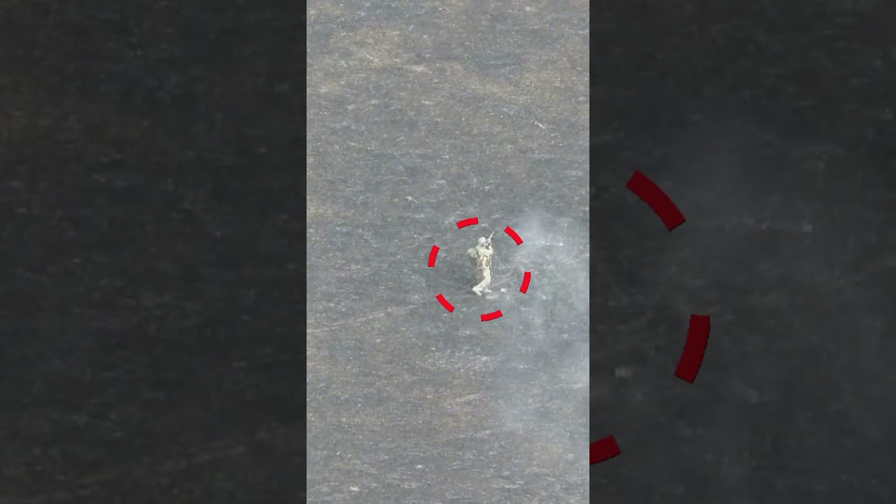 cazado desde el aire sin escapatoria.
