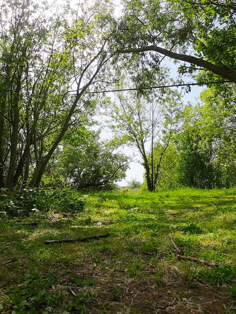 Drone FPV Racer