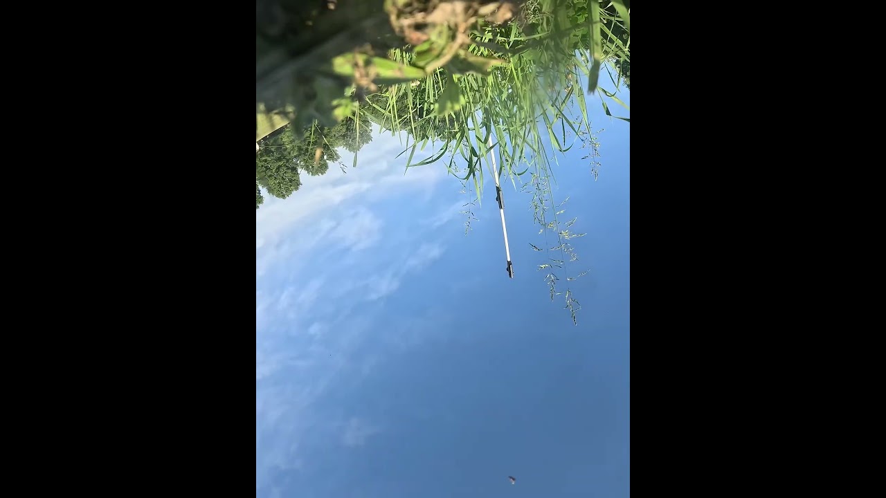 Fpv crash #fpv #drone #fpvdrone #fpvfreestyle #fpvlife