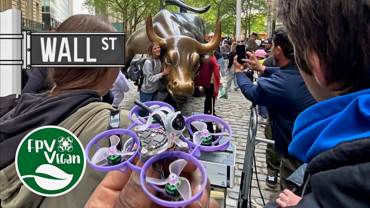 Fpv the bull / Unfollow art