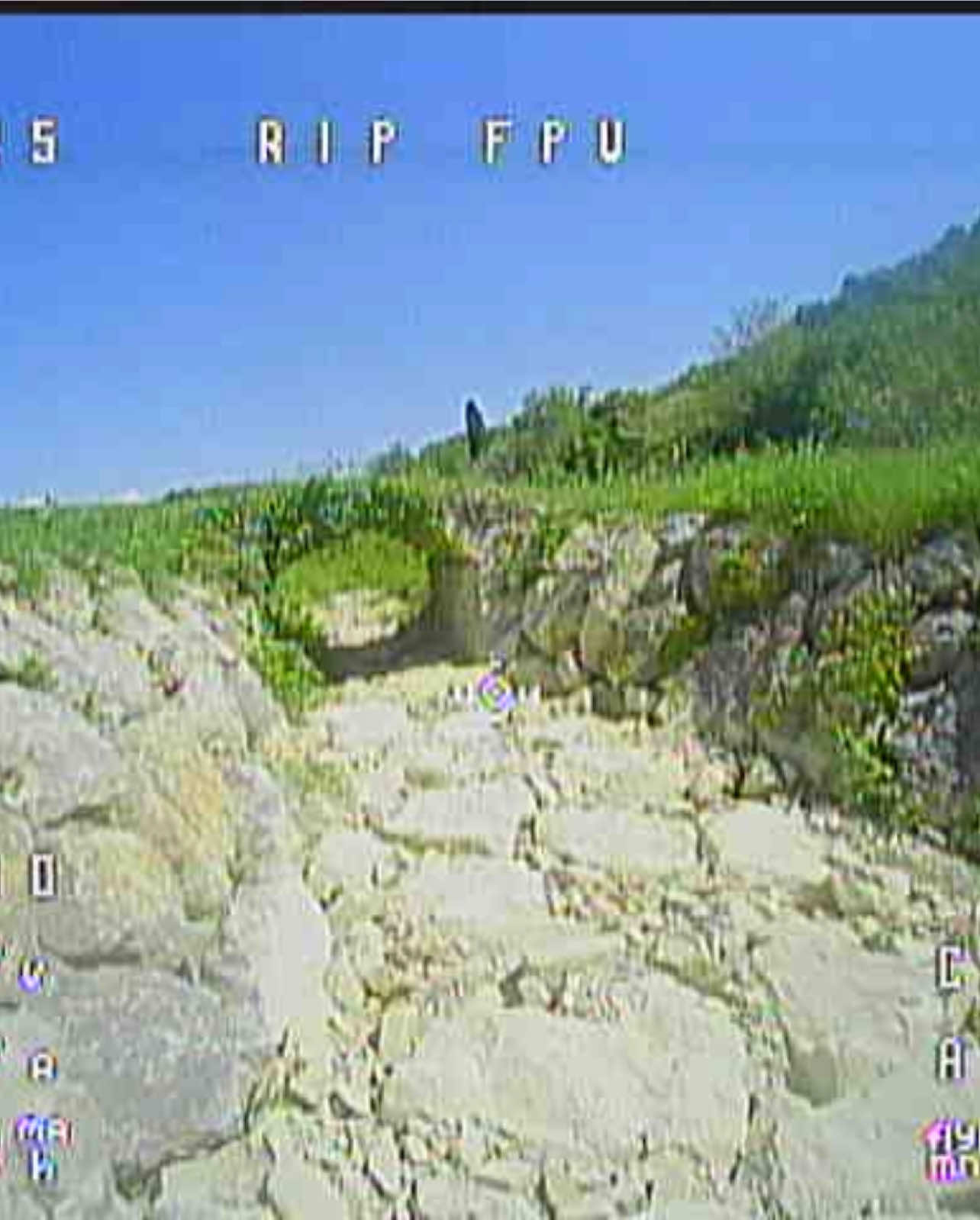ESSAI DE COURSE