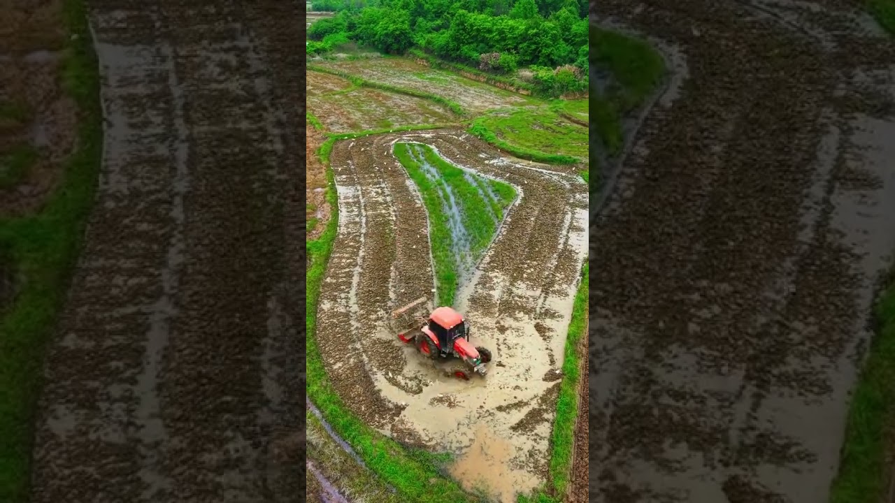 #automobile #vietnamcountry #fishing #farming #farmingtraditions #drone #countrybeauty
