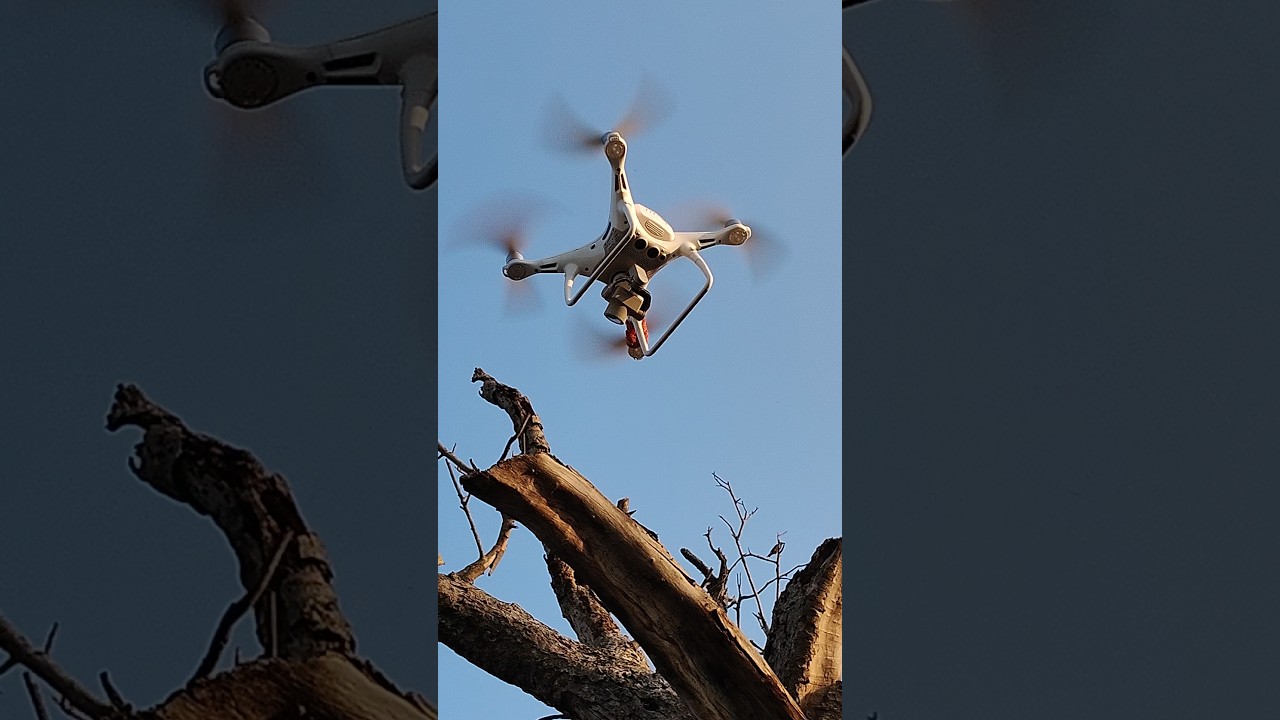 #drone #lover #video #weddingceremony #dance #weddingdance #viral #song