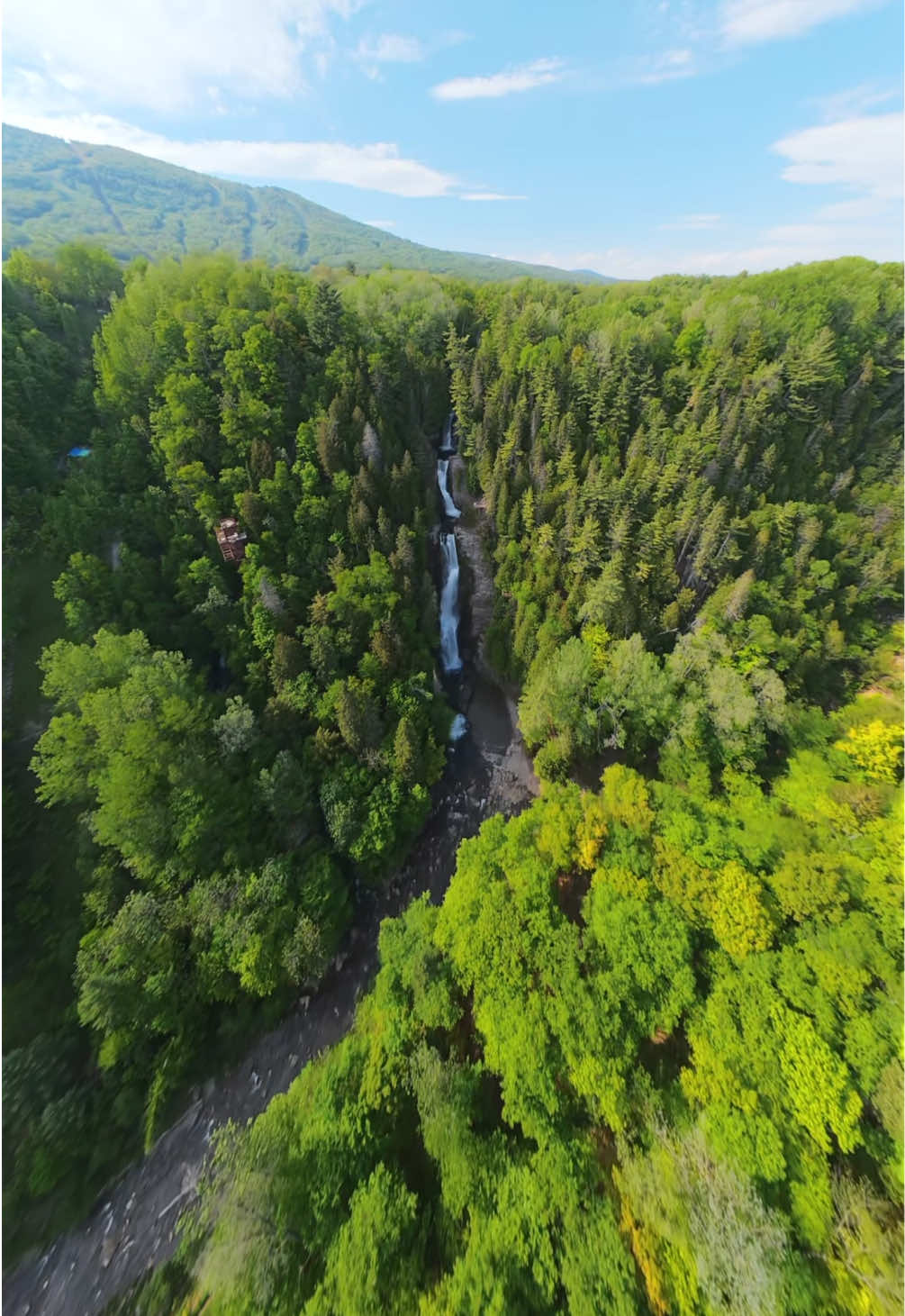 Cascade cachée au Canada. Merci de m'avoir amené dans cet endroit génial! Groupe