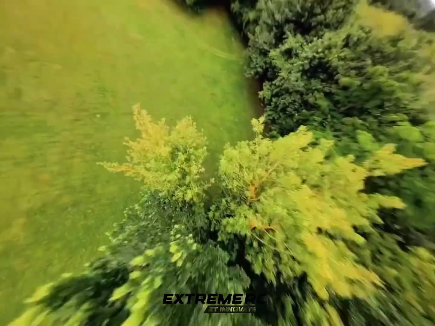 Course FPV à travers la forêt !