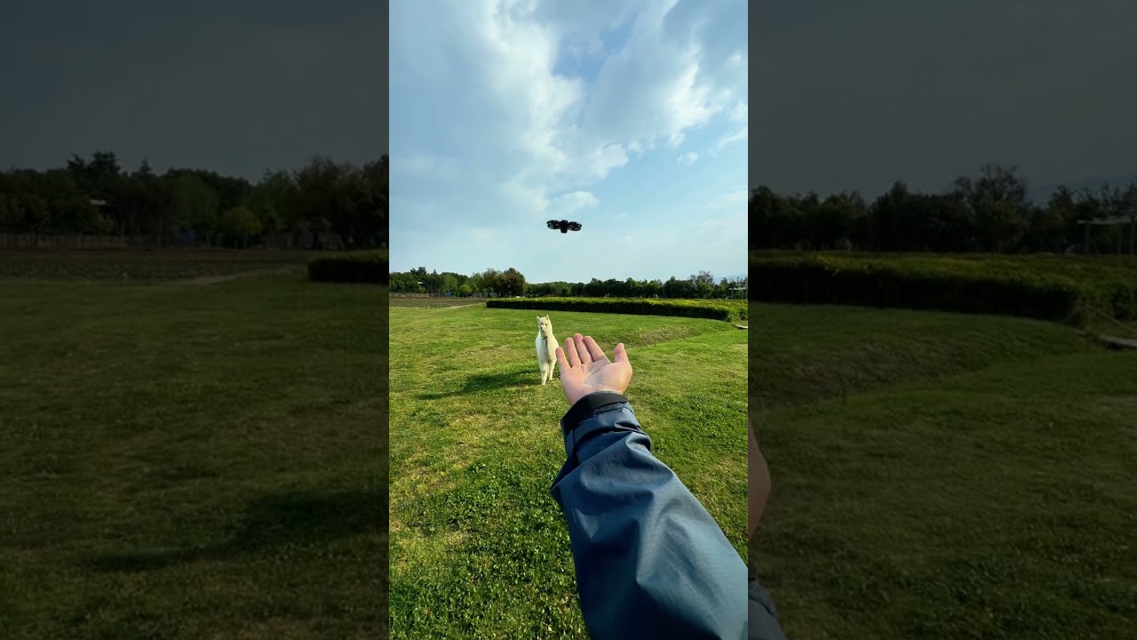 Is it a drone or a pet? ｜DJI Neo 2